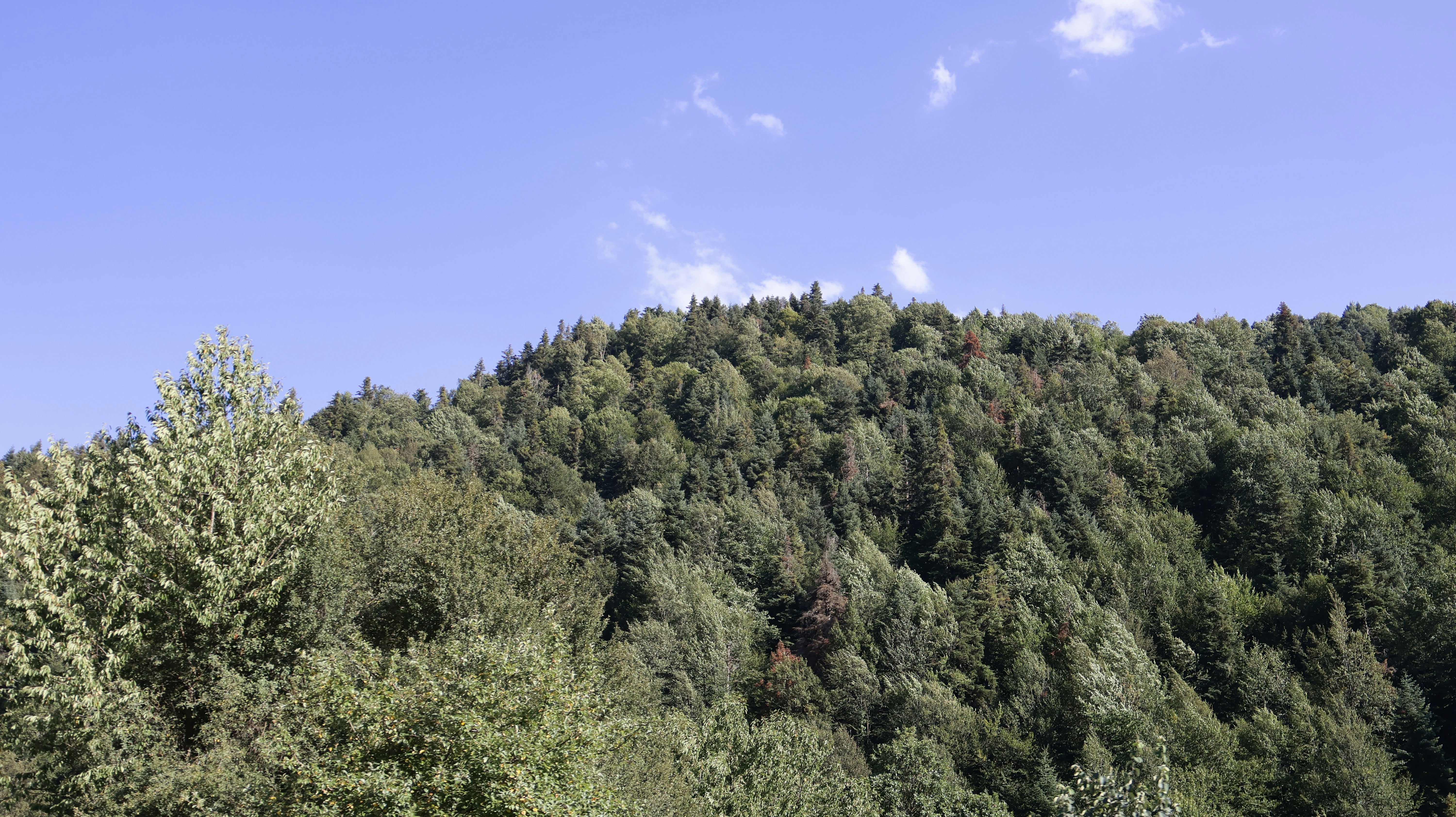 Photo by reniartdiary