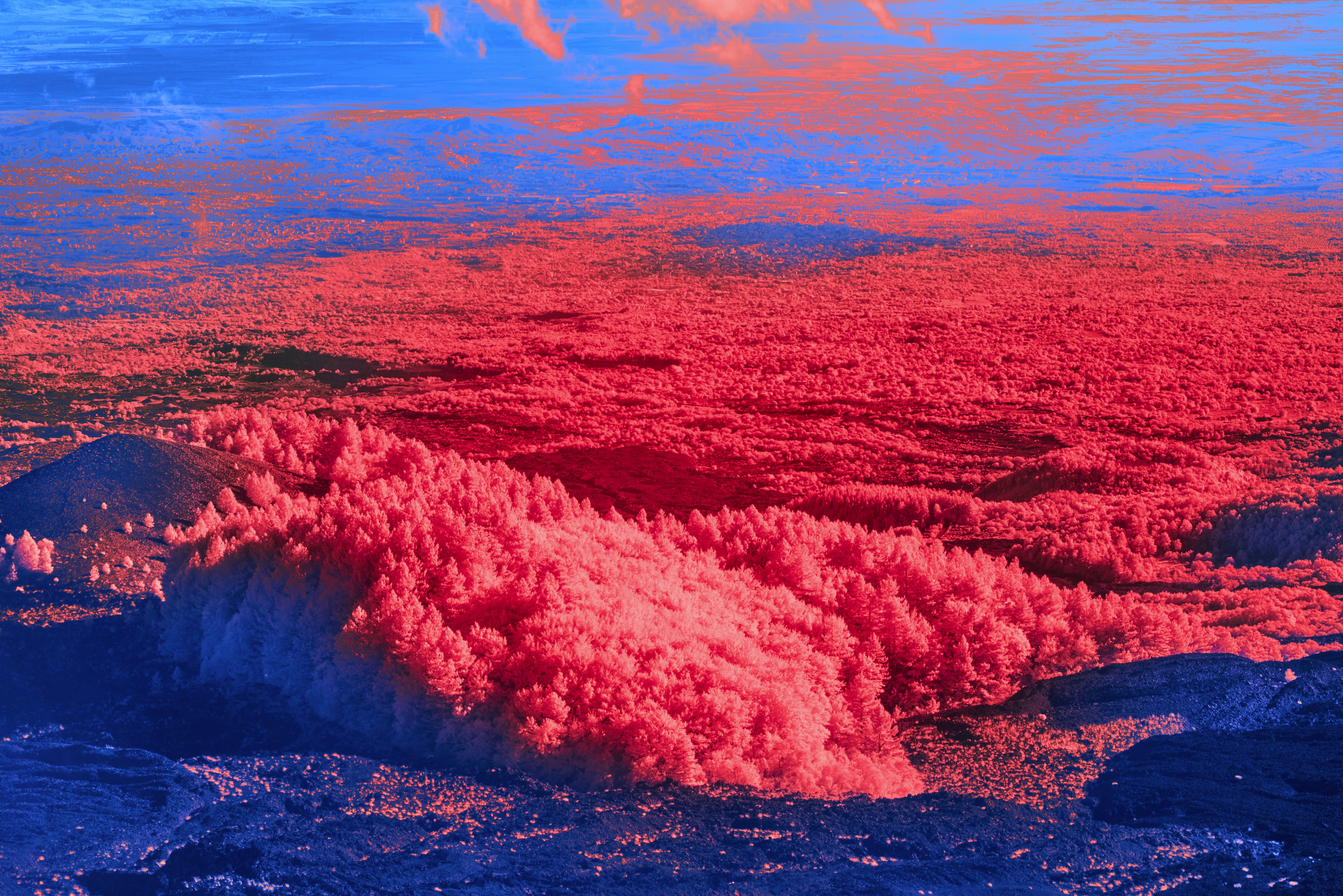 Photo by wolfgang_hasselmann