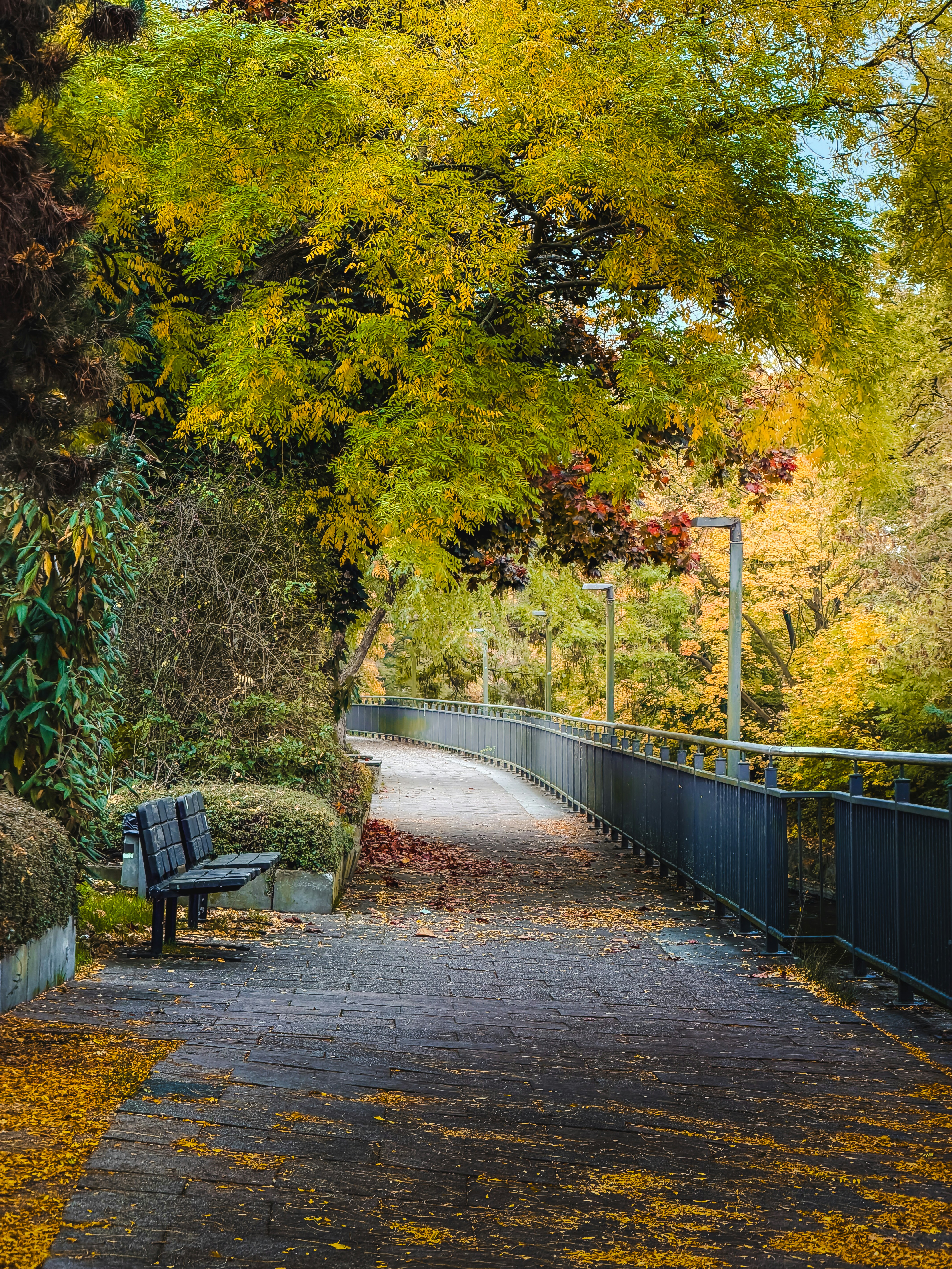 Autumn path with fallen leaves and park bench.
