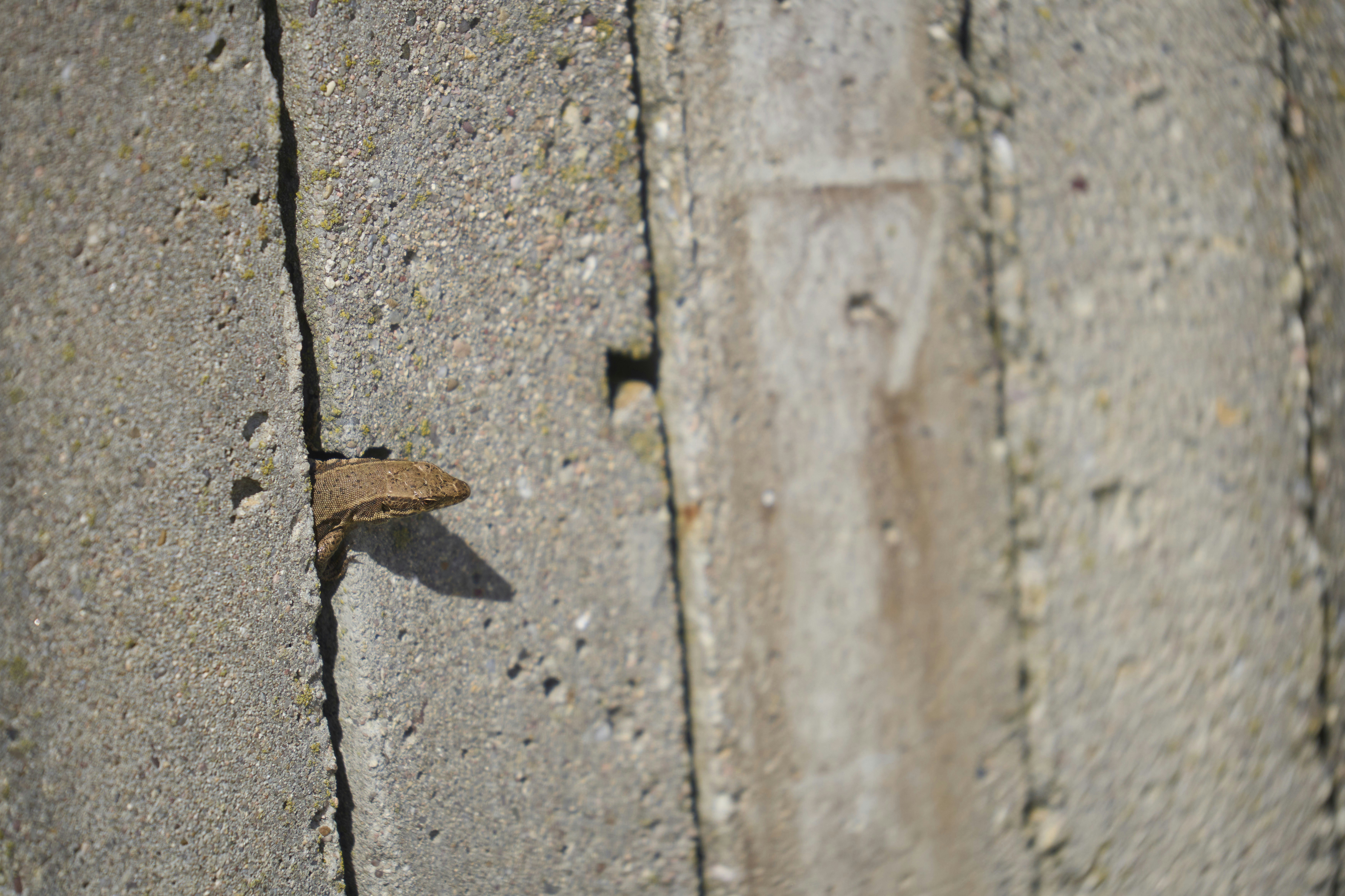 Photo by wolfgang_hasselmann