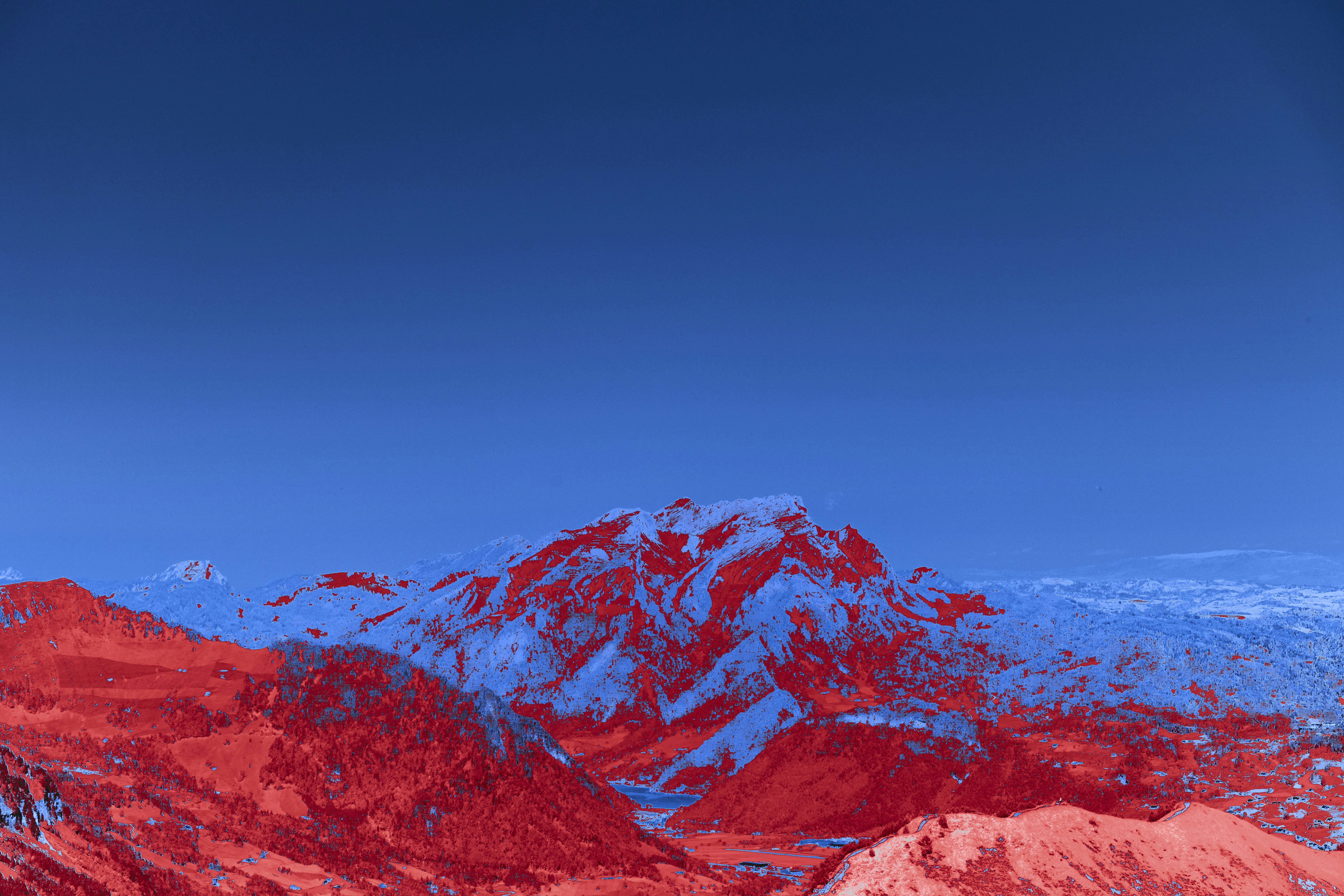 Photo by wolfgang_hasselmann