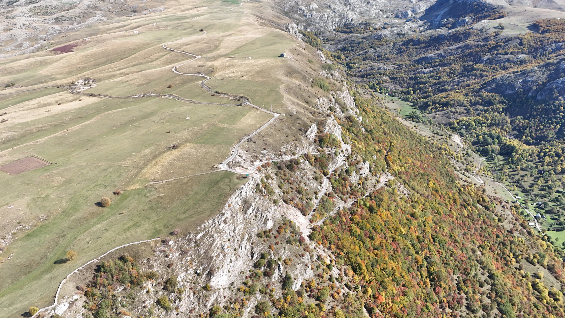 Mountain ridge with autumn trees and grassy slopes
