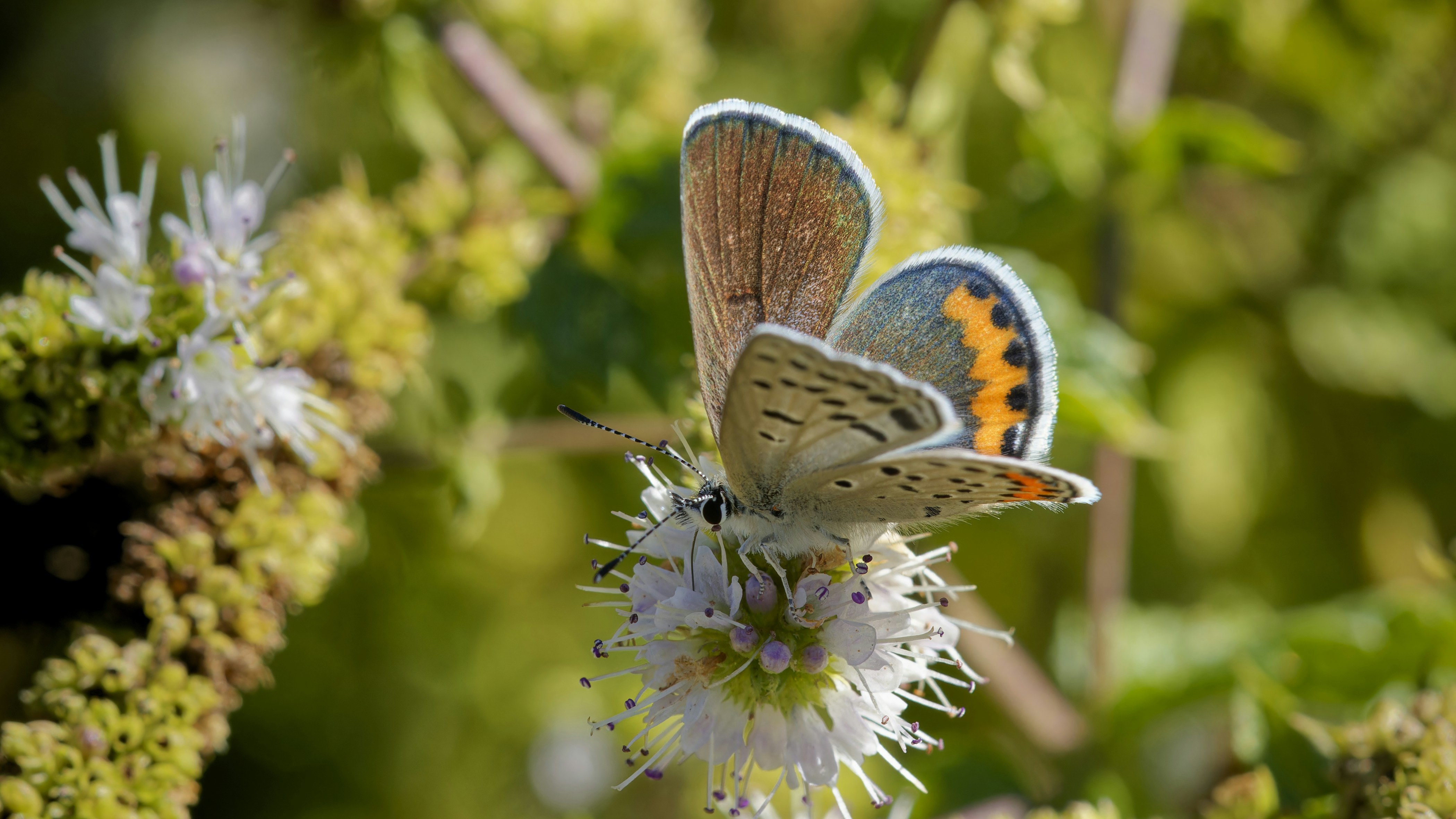 Photo by patrickbigelow_zoom_in