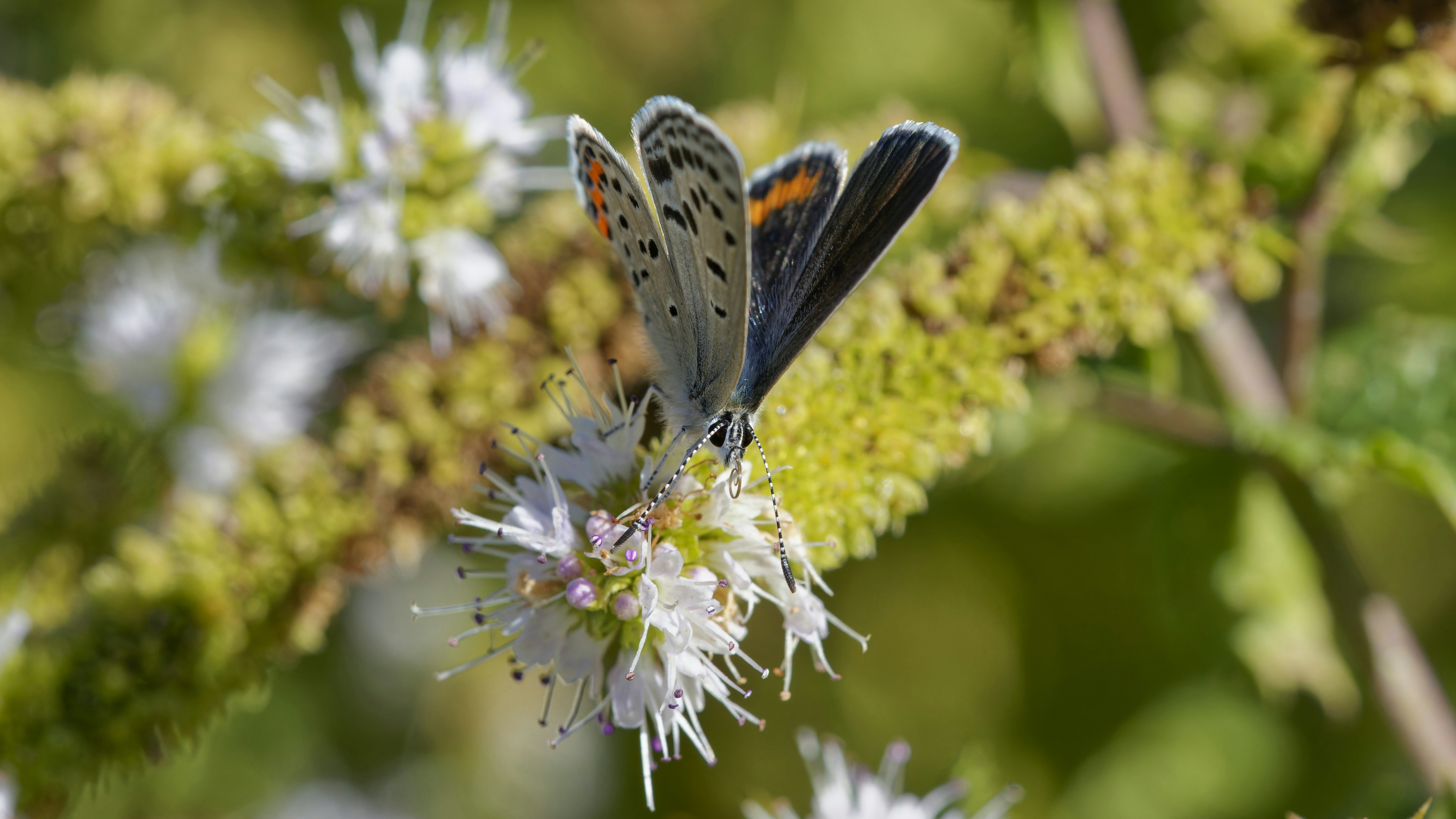 Photo by patrickbigelow_zoom_in