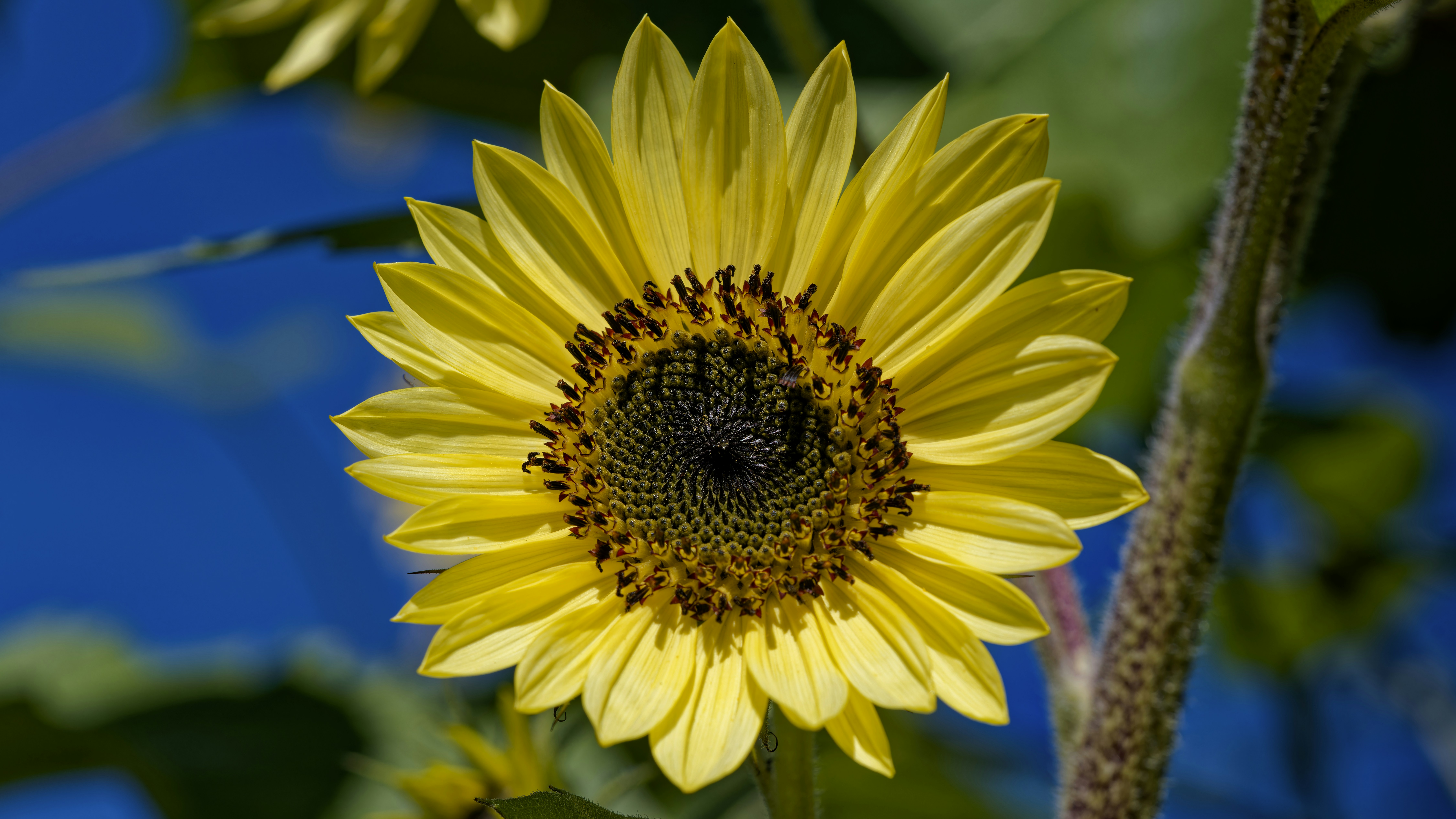 Photo by patrickbigelow_zoom_in