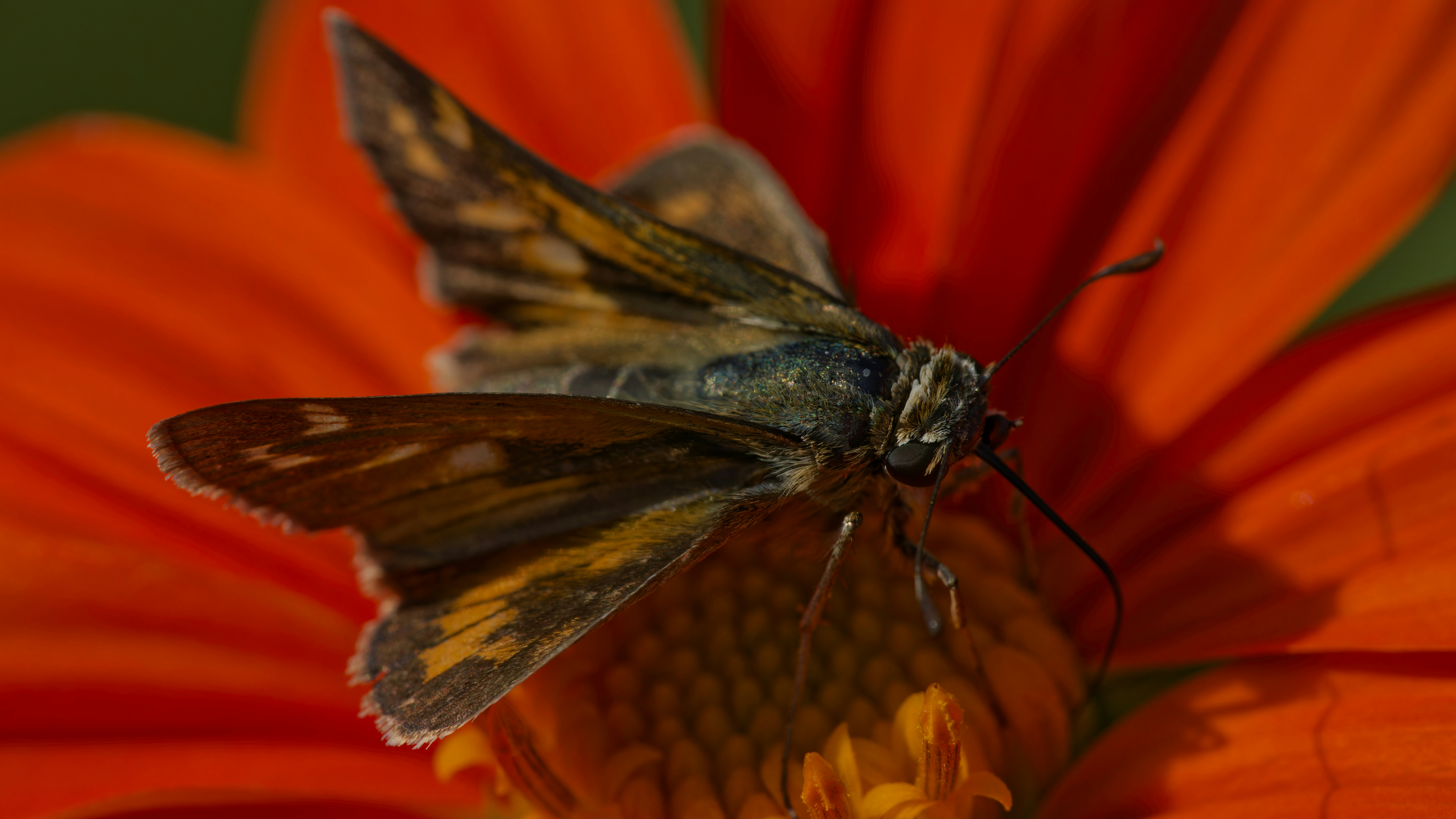 Photo by patrickbigelow_zoom_in