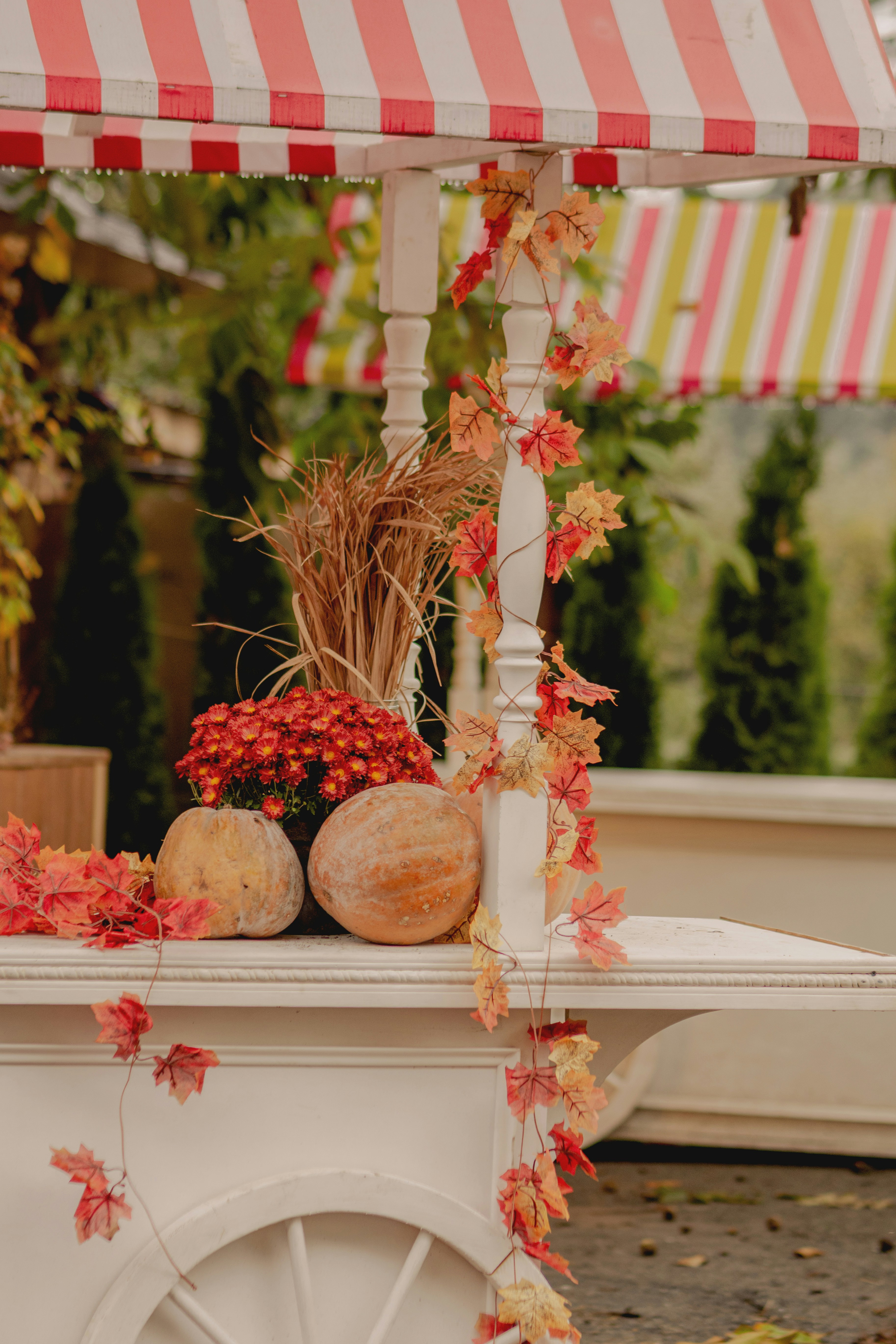 Photo by eugenivy_now