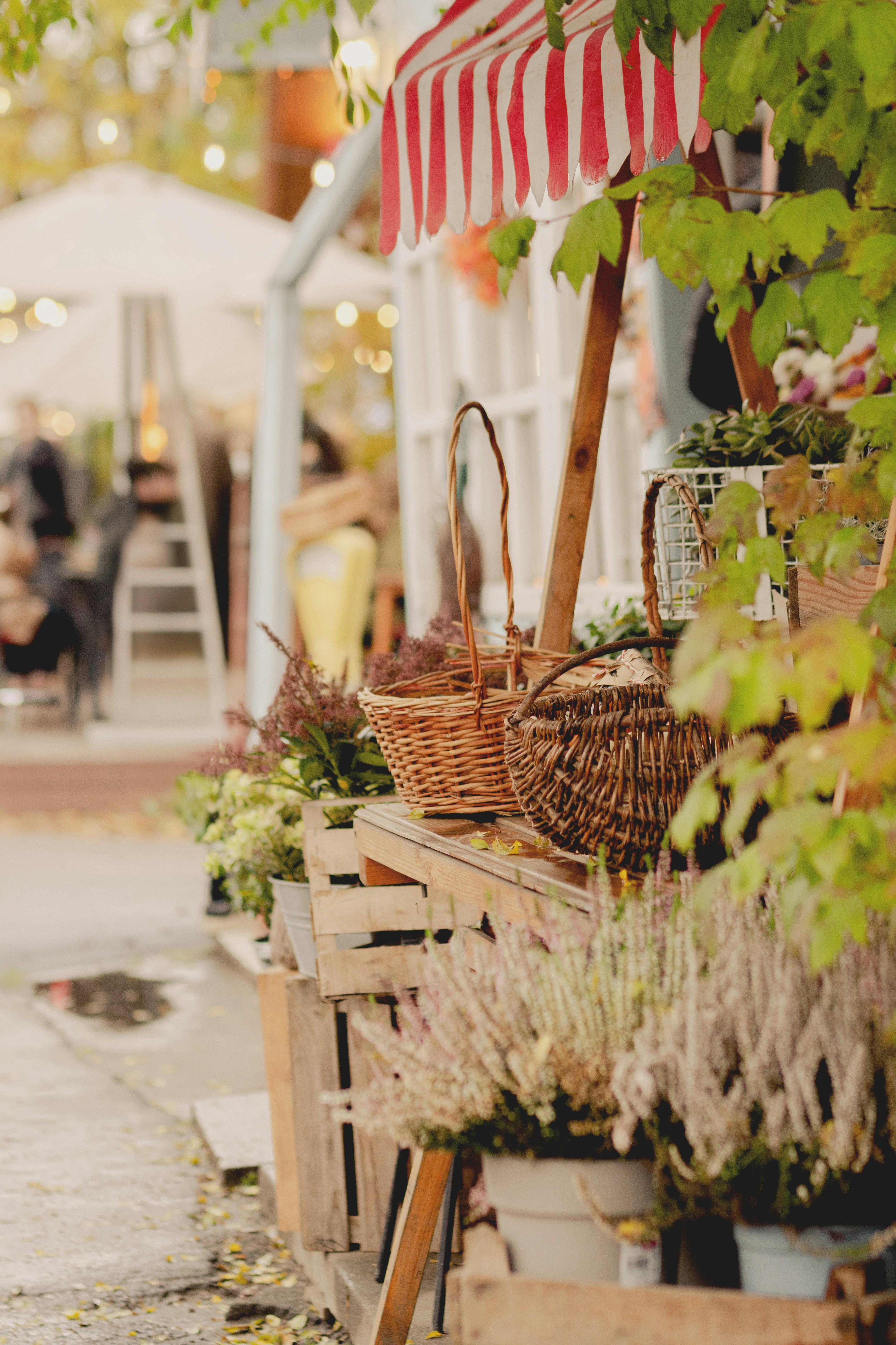 Photo by eugenivy_now