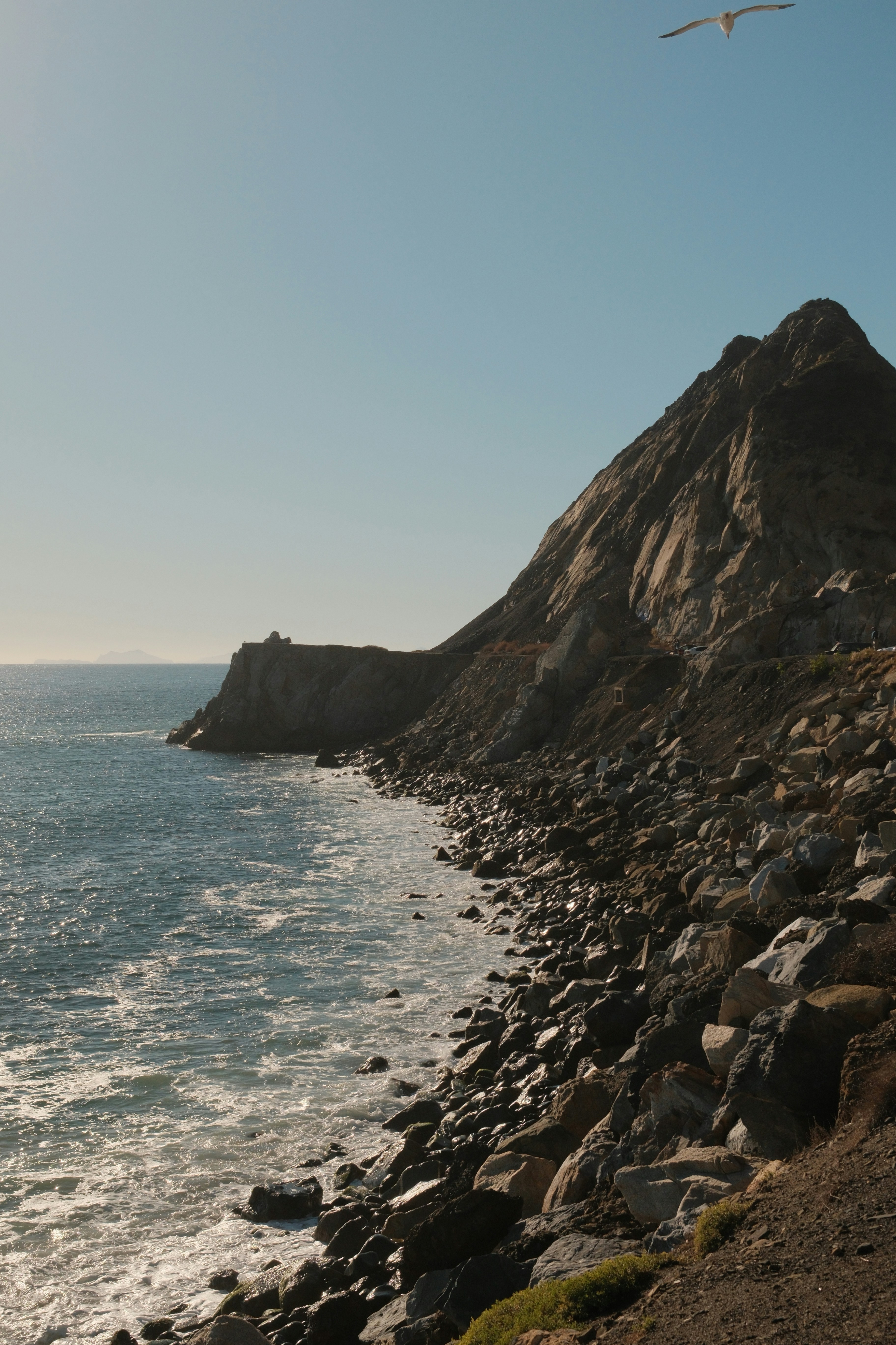 Rocky coastline with ocean waves and a bird flying.