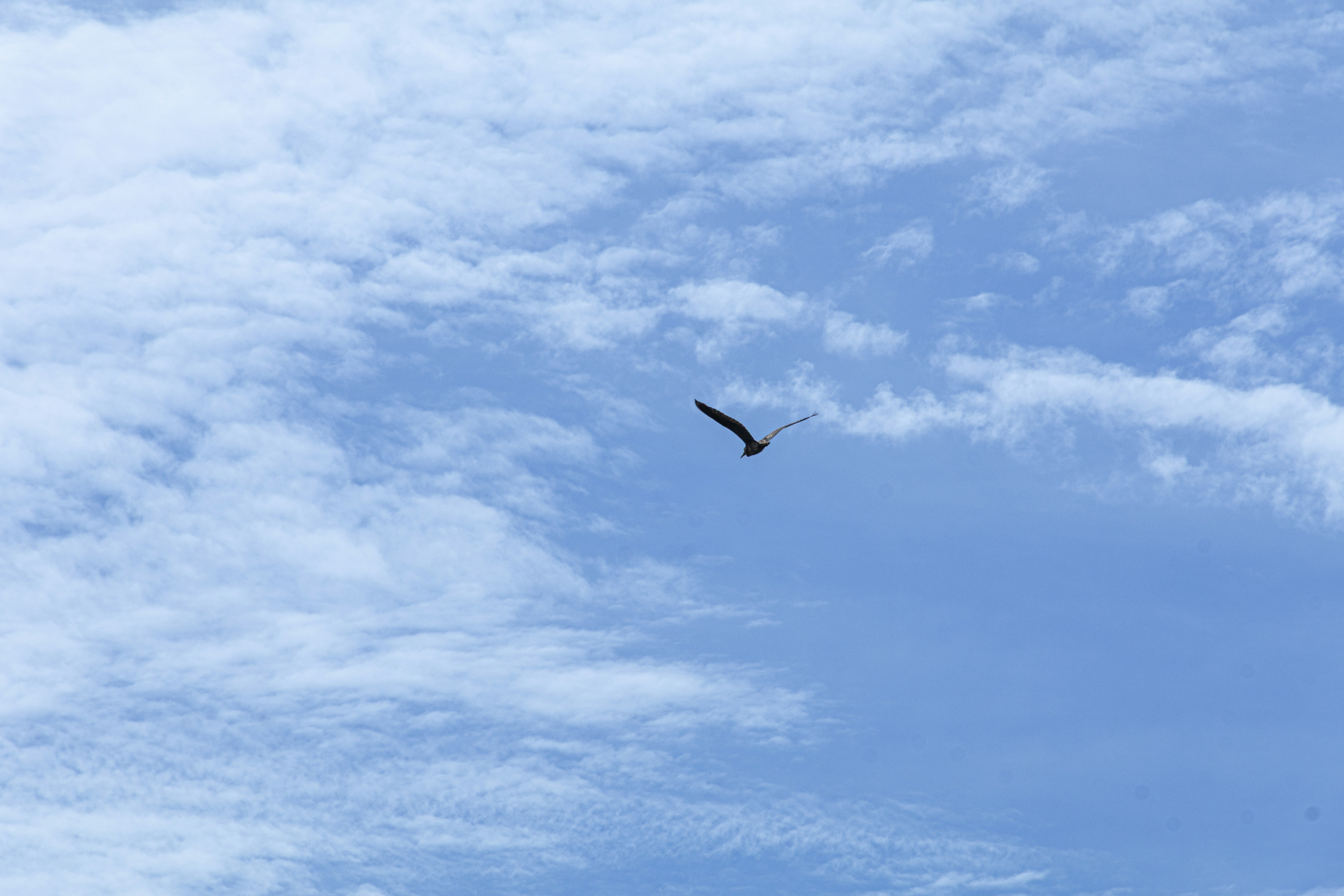 Photo by bridgetadolfo