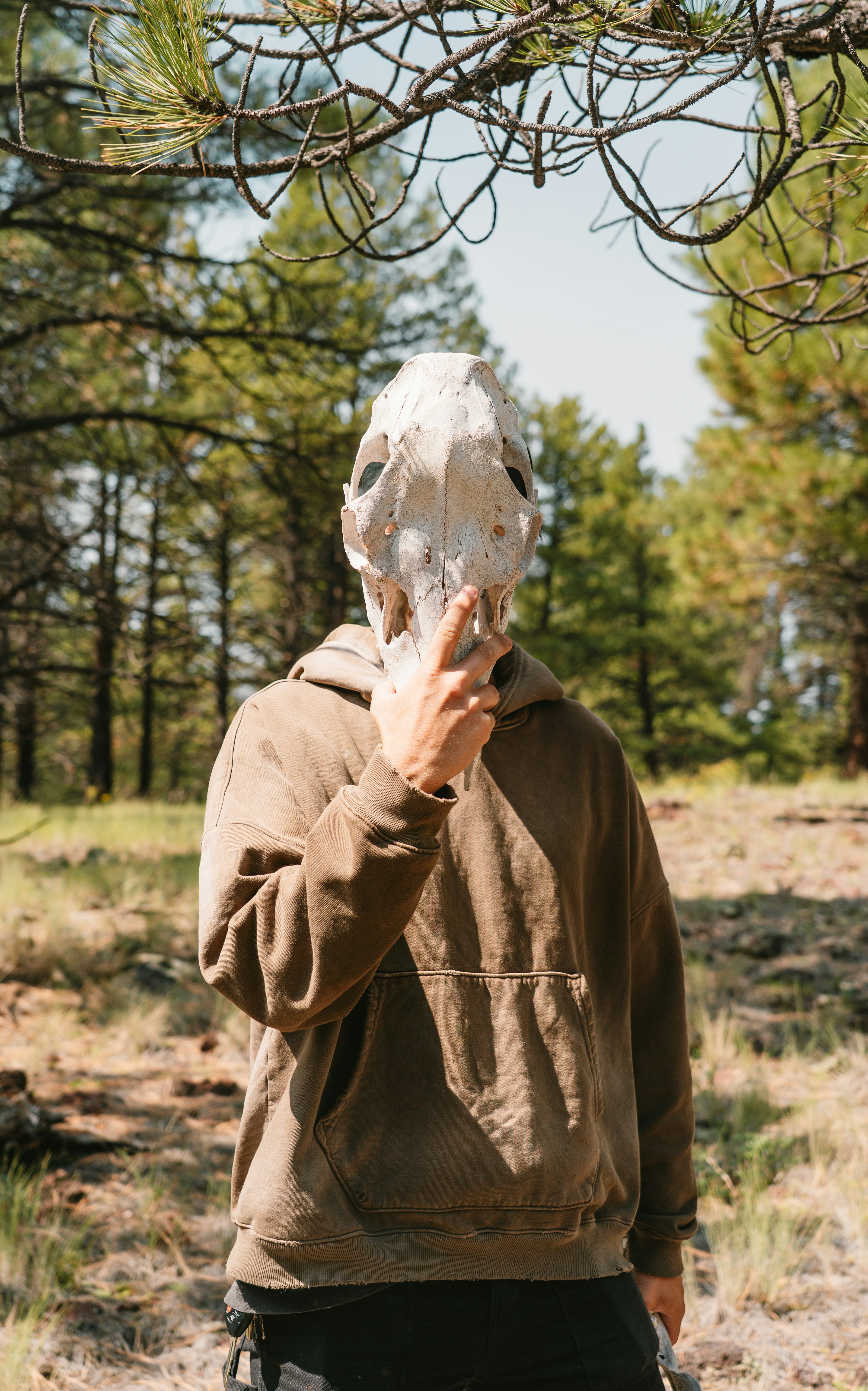 Person wearing animal skull mask in forest