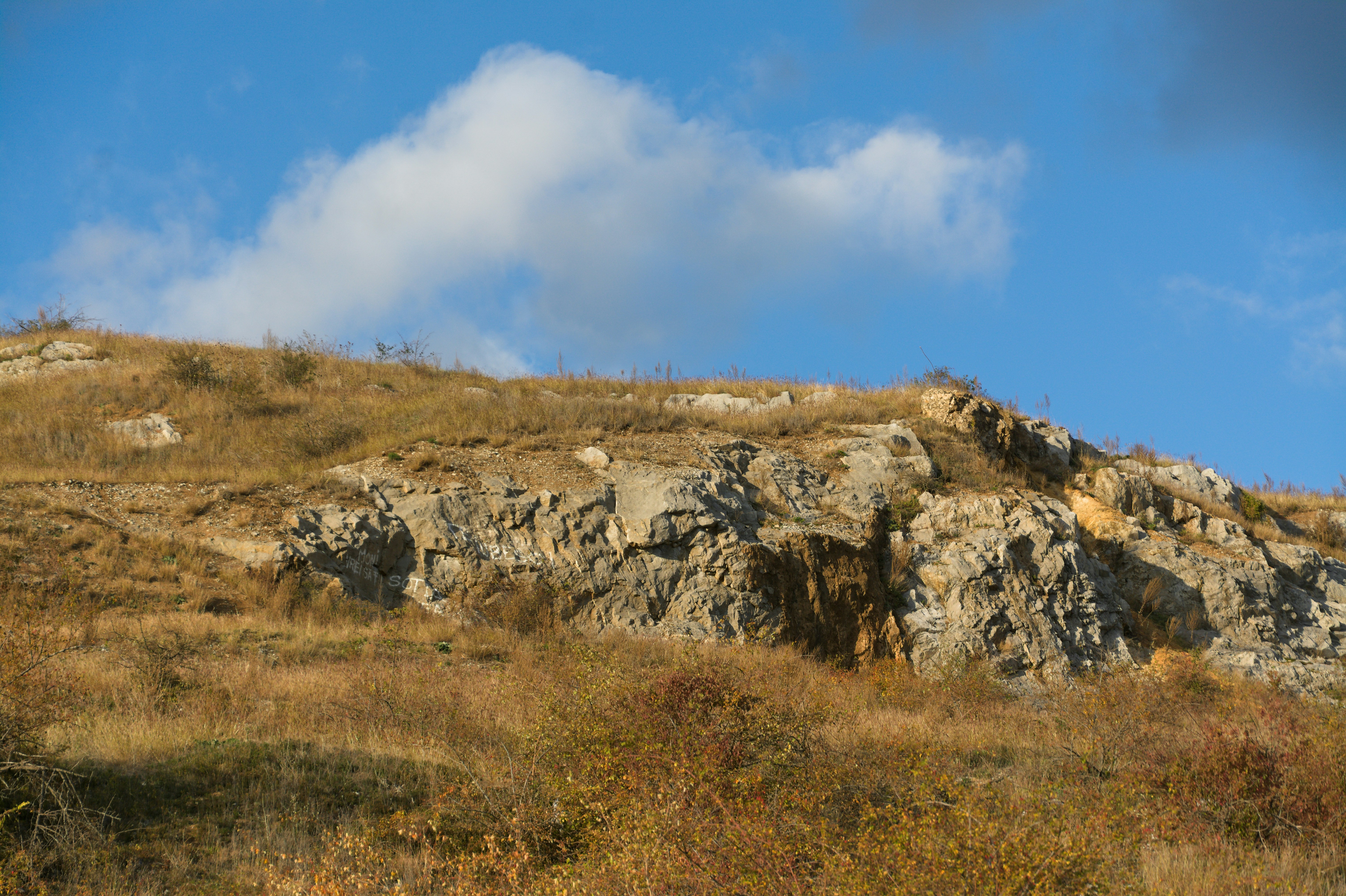 Photo by paulito1234