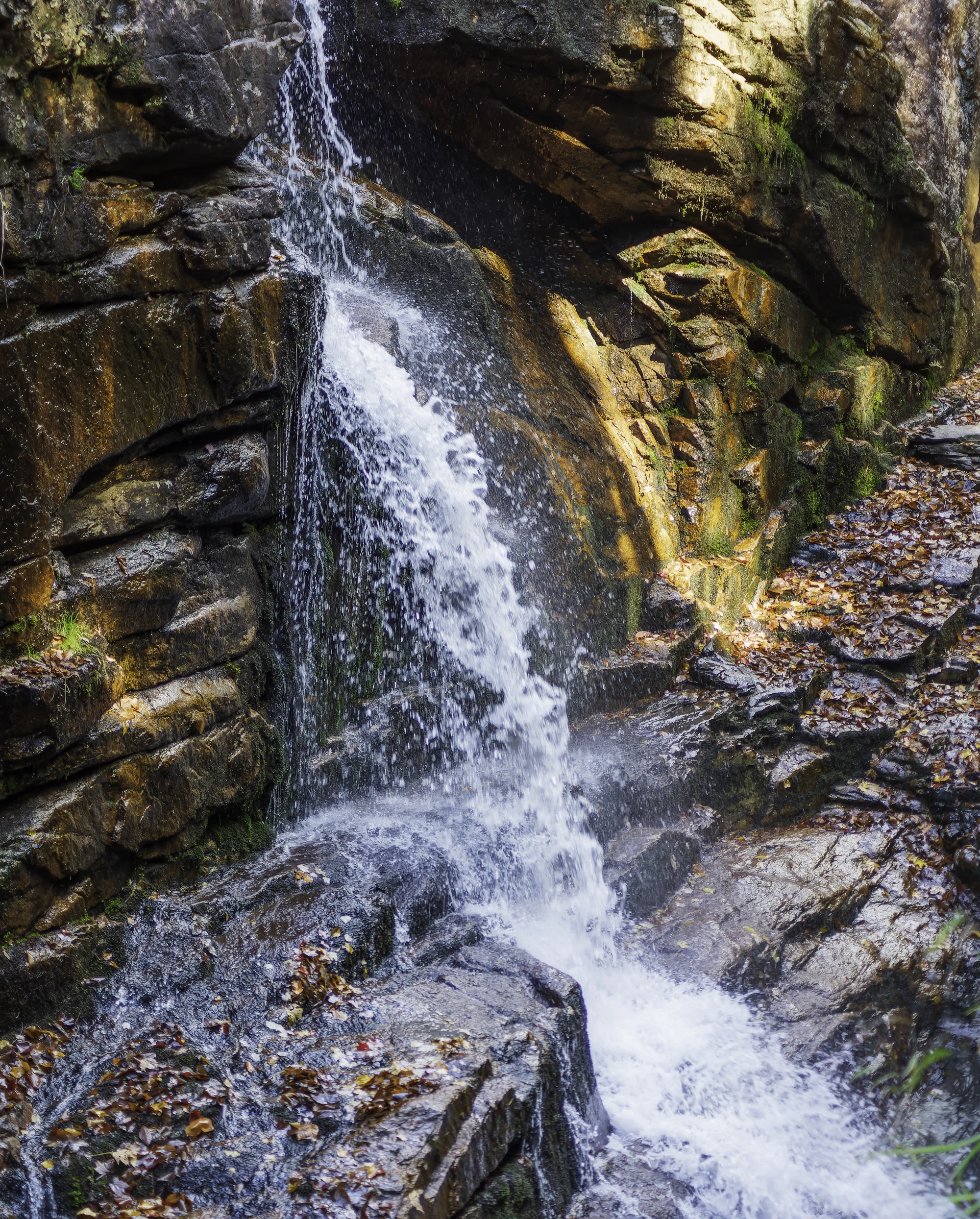 Narrow waterfall carving through a rocky gorge, similar to Kimberley gorge swimming holes