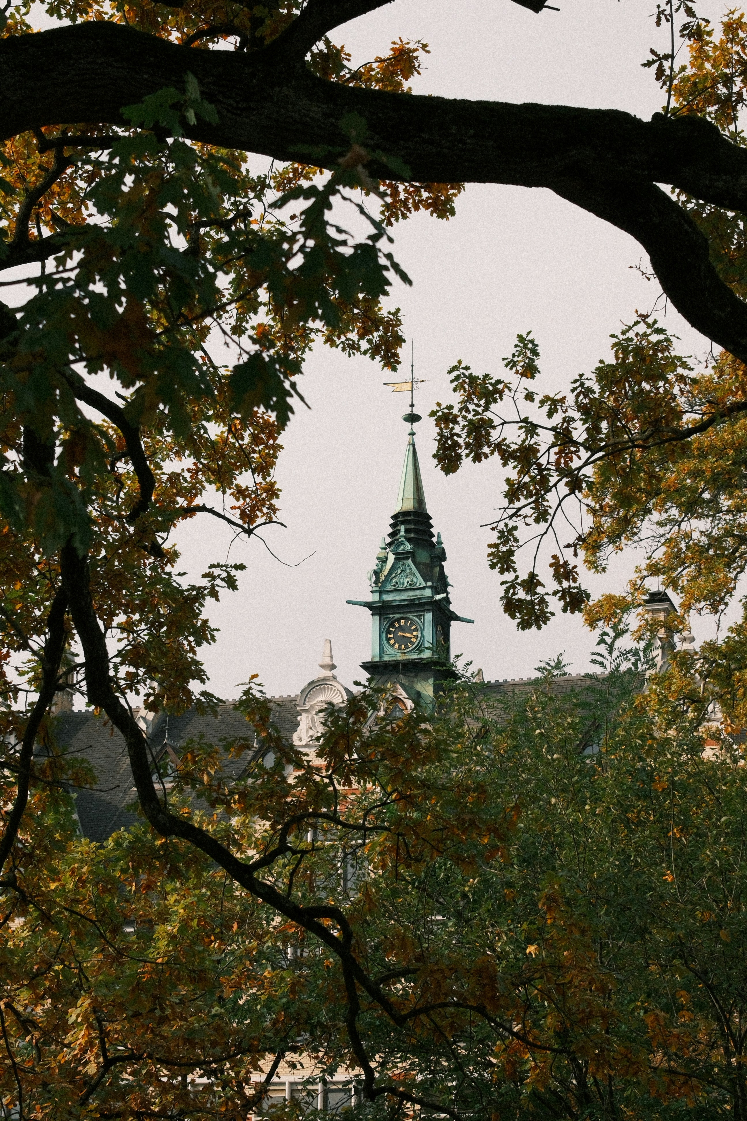 Green clock tower peeking through autumn trees
