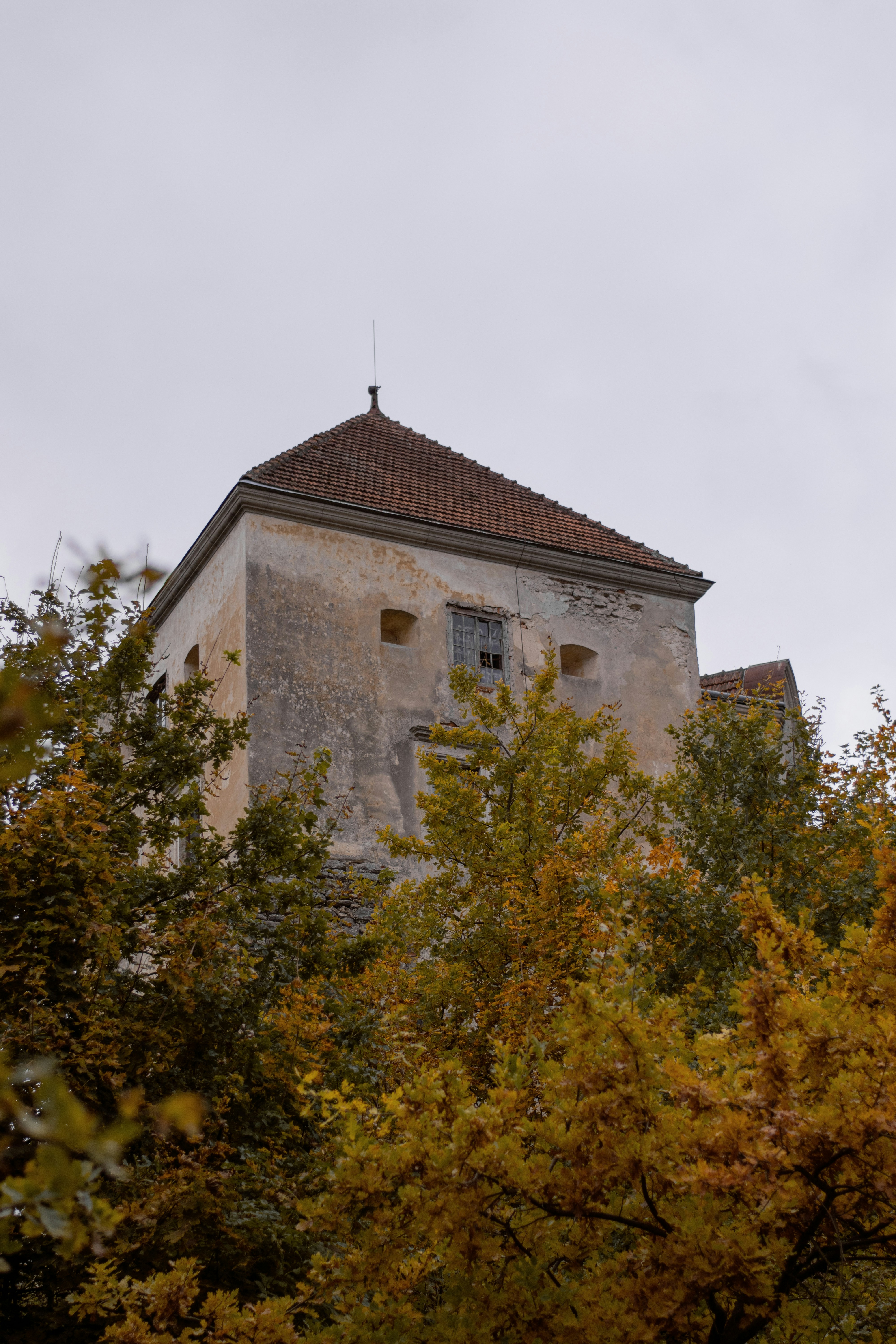 Photo by karynaviktori