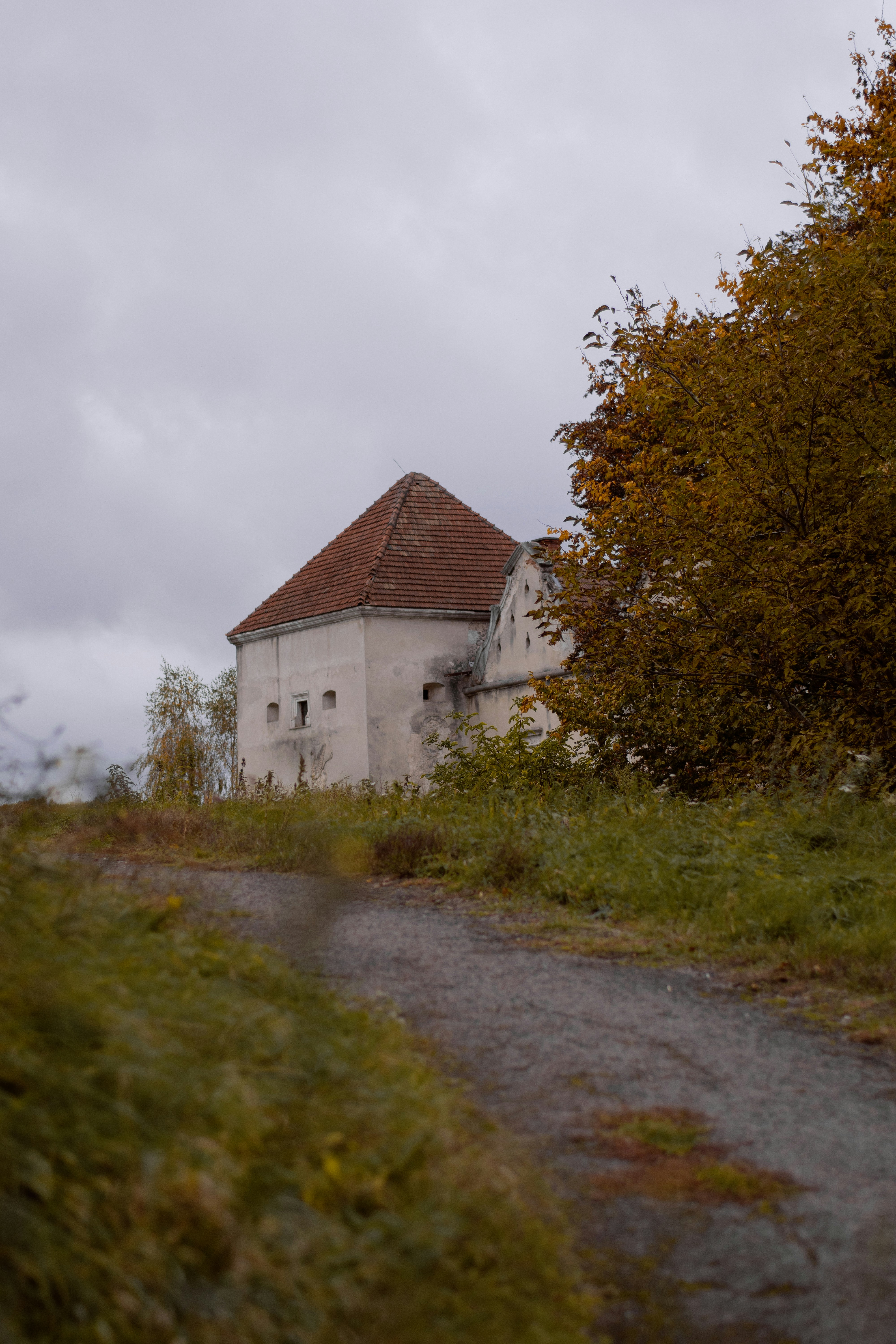 Photo by karynaviktori