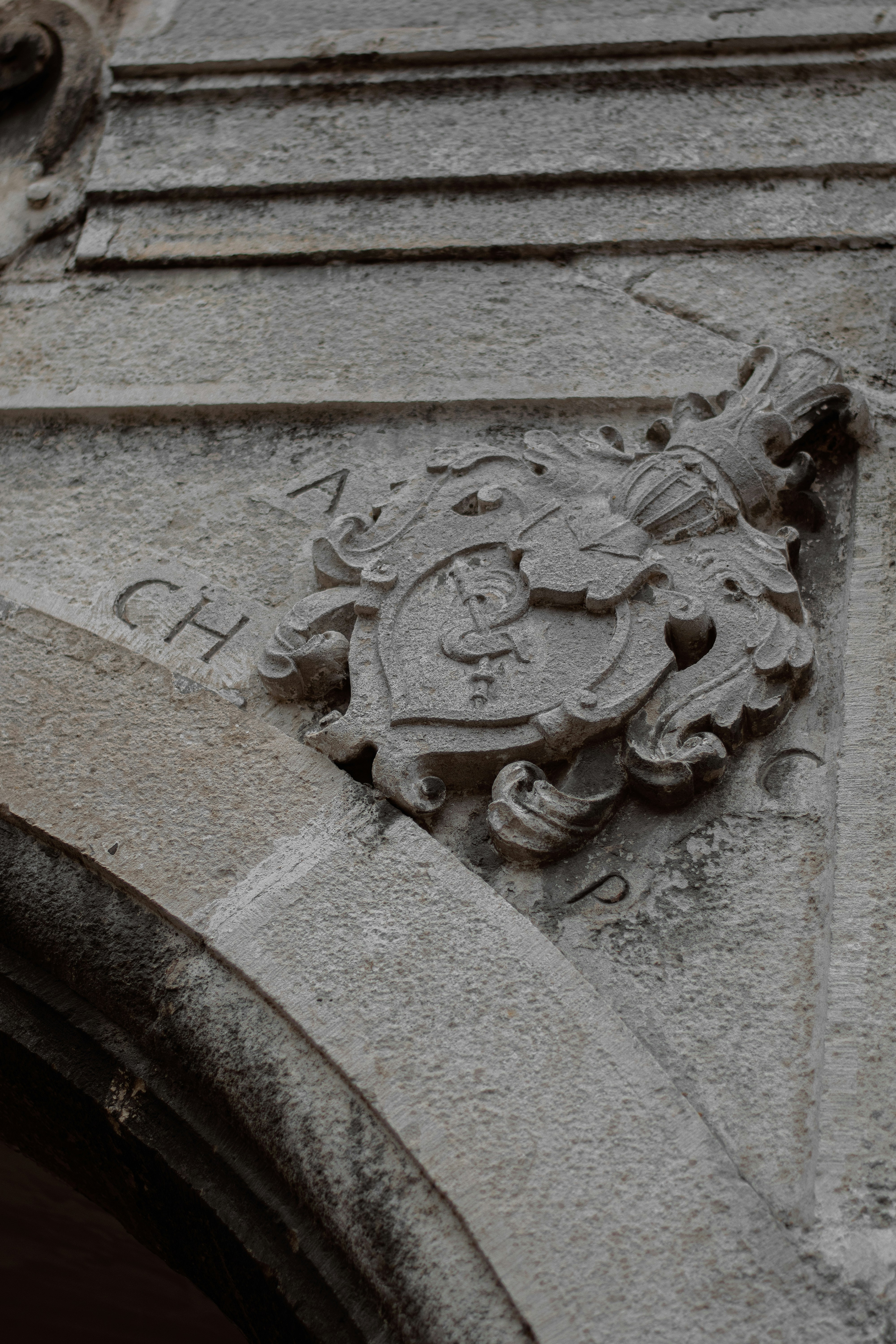 Photo by karynaviktori