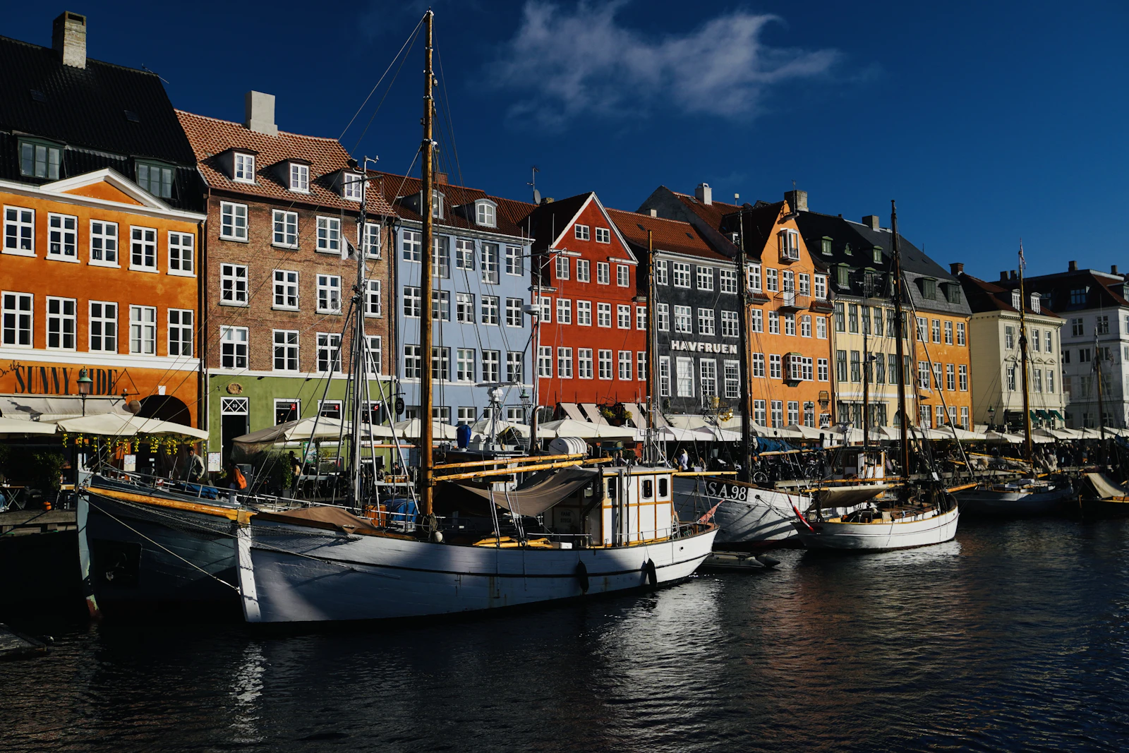 Denmark Travel Health Guide: No Malaria, a Spreading Tick Risk, and No US Healthcare Safety Net