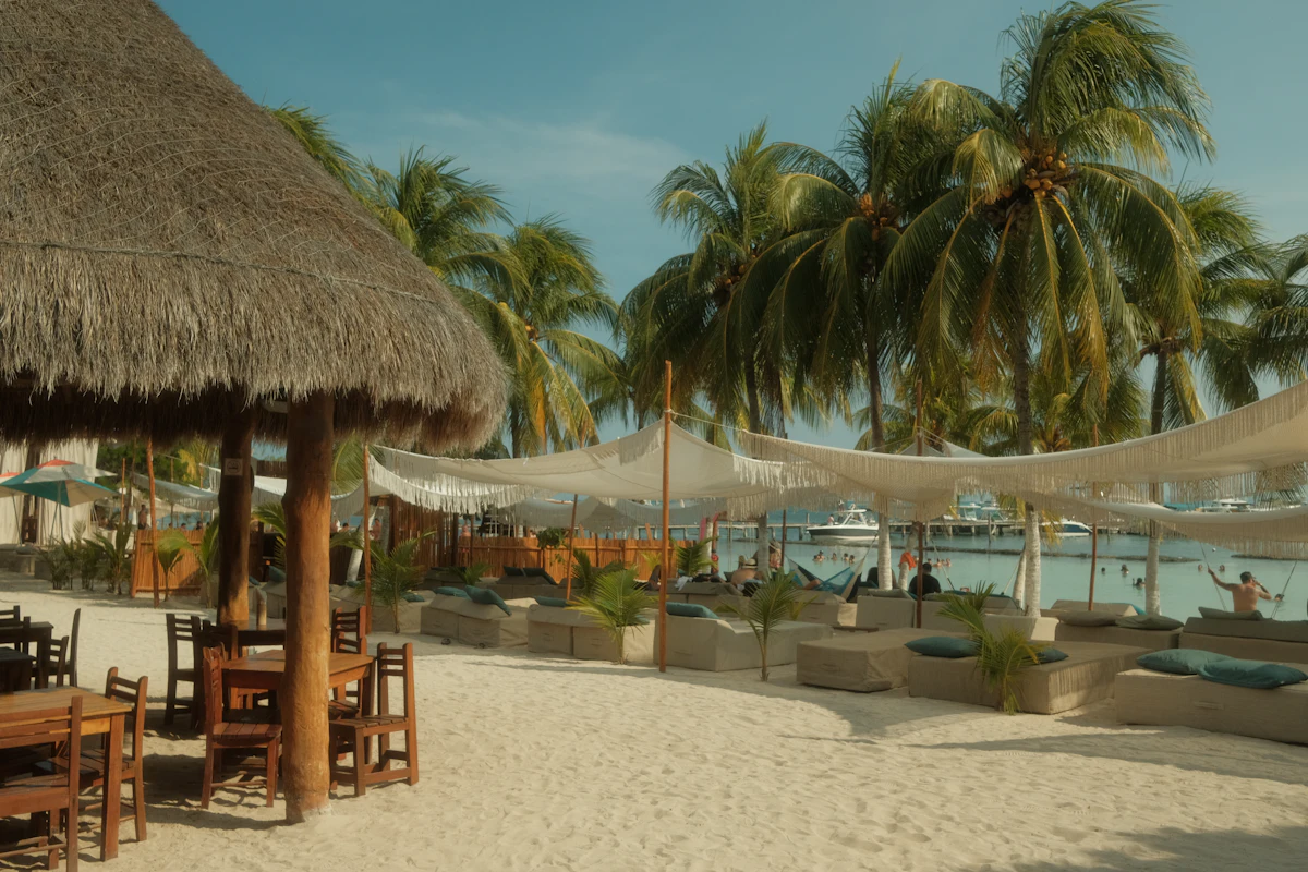 Beach loungers at sunset