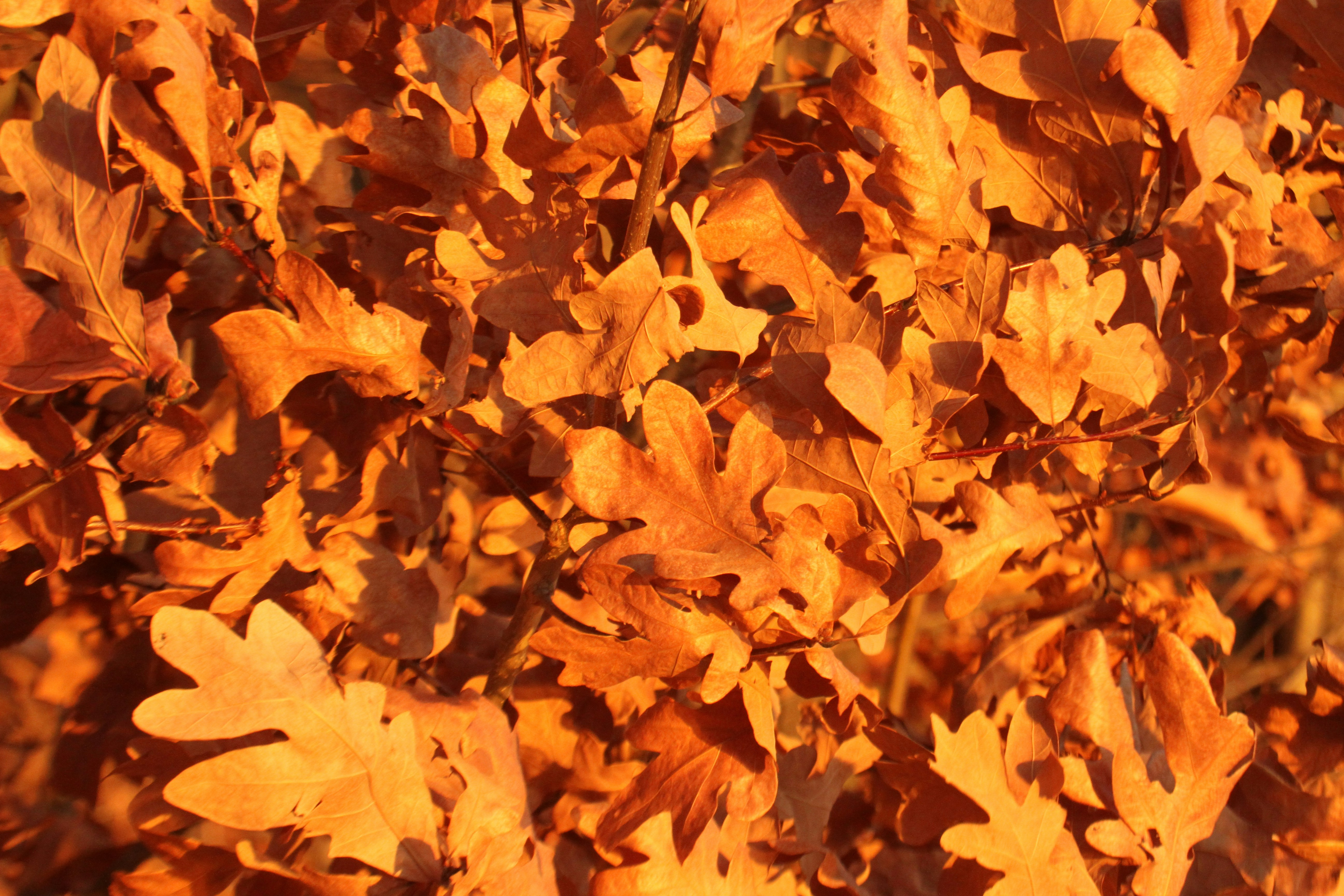 Photo by jryandoherty