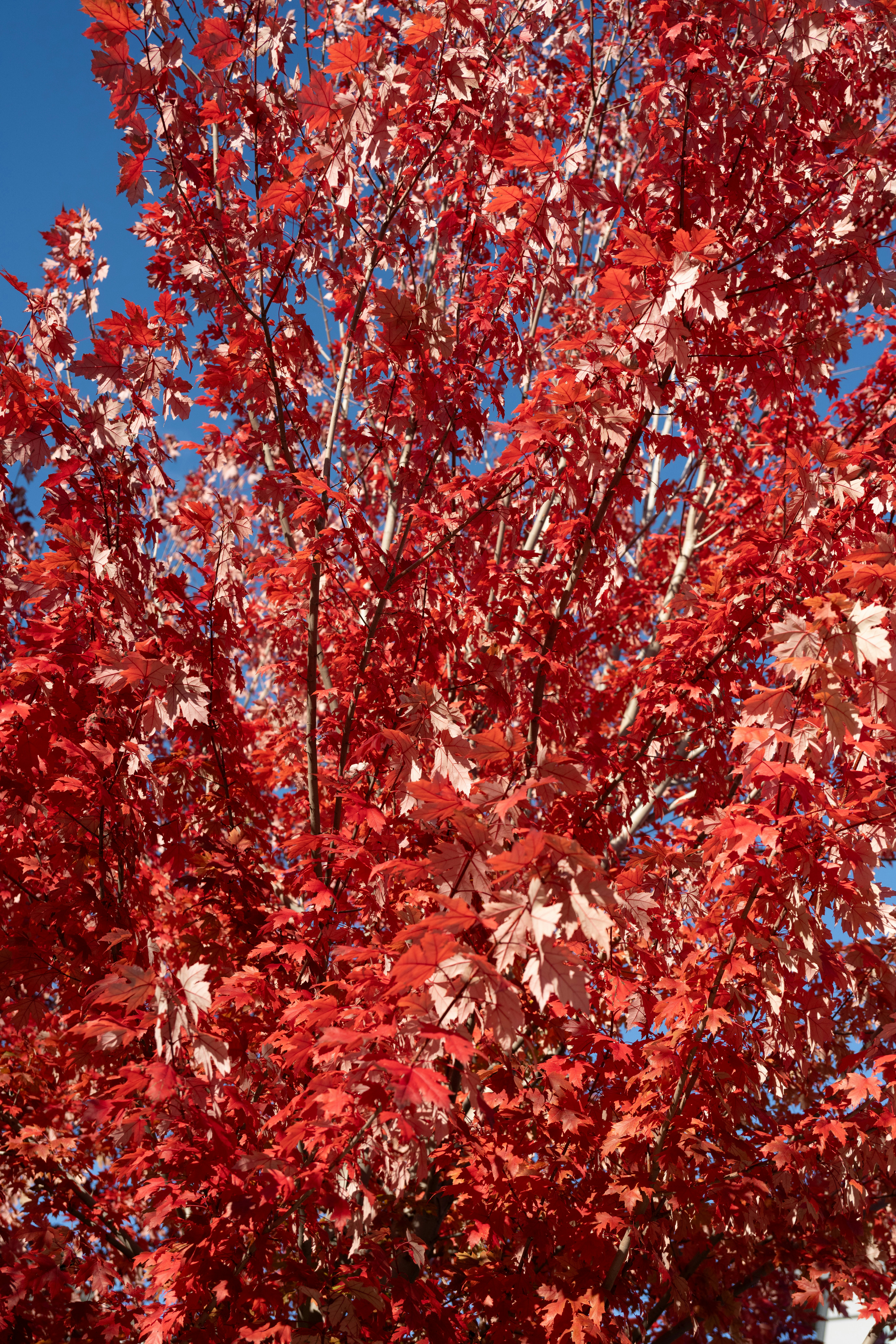 Photo by justynazielinska654