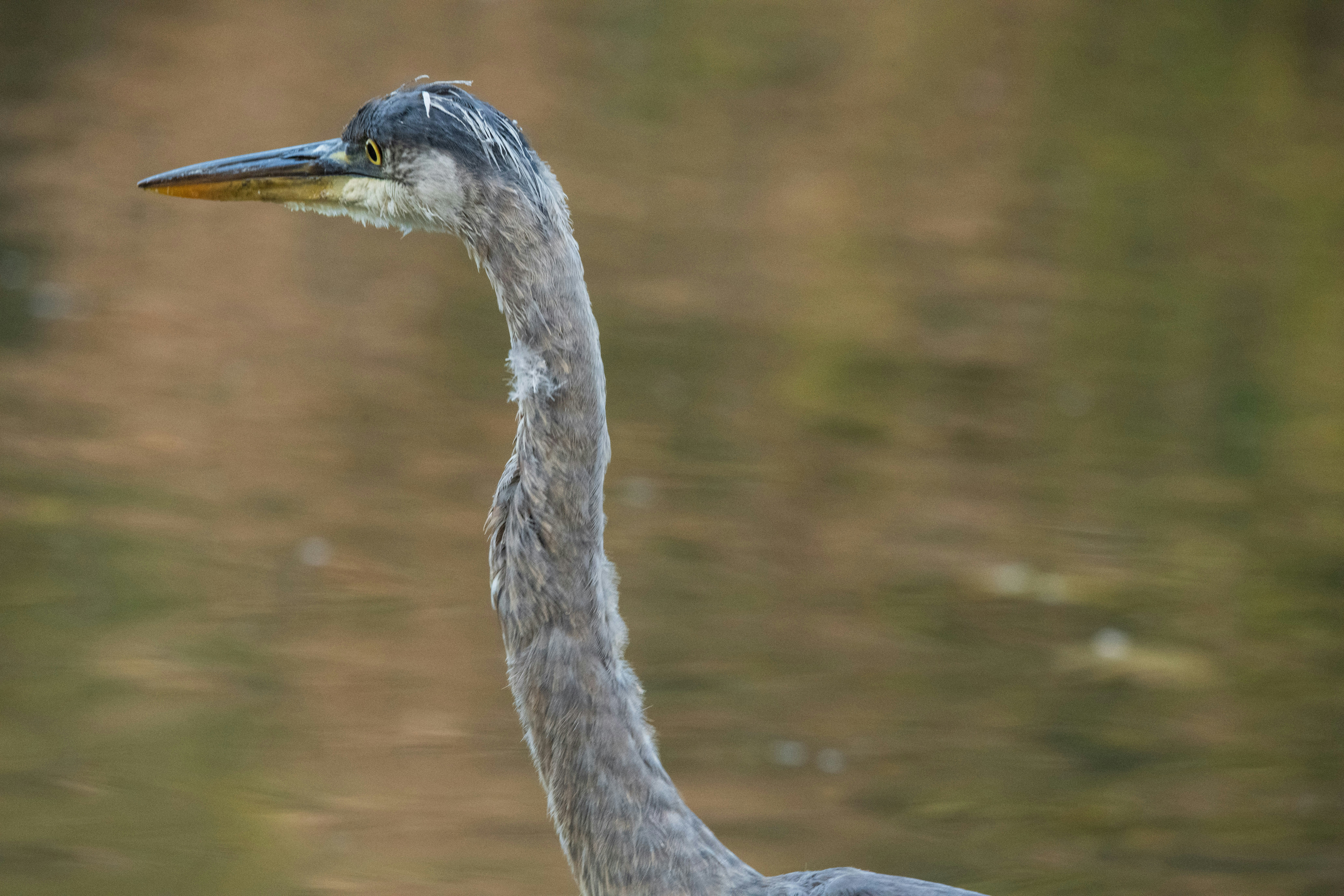 Photo by justynazielinska654