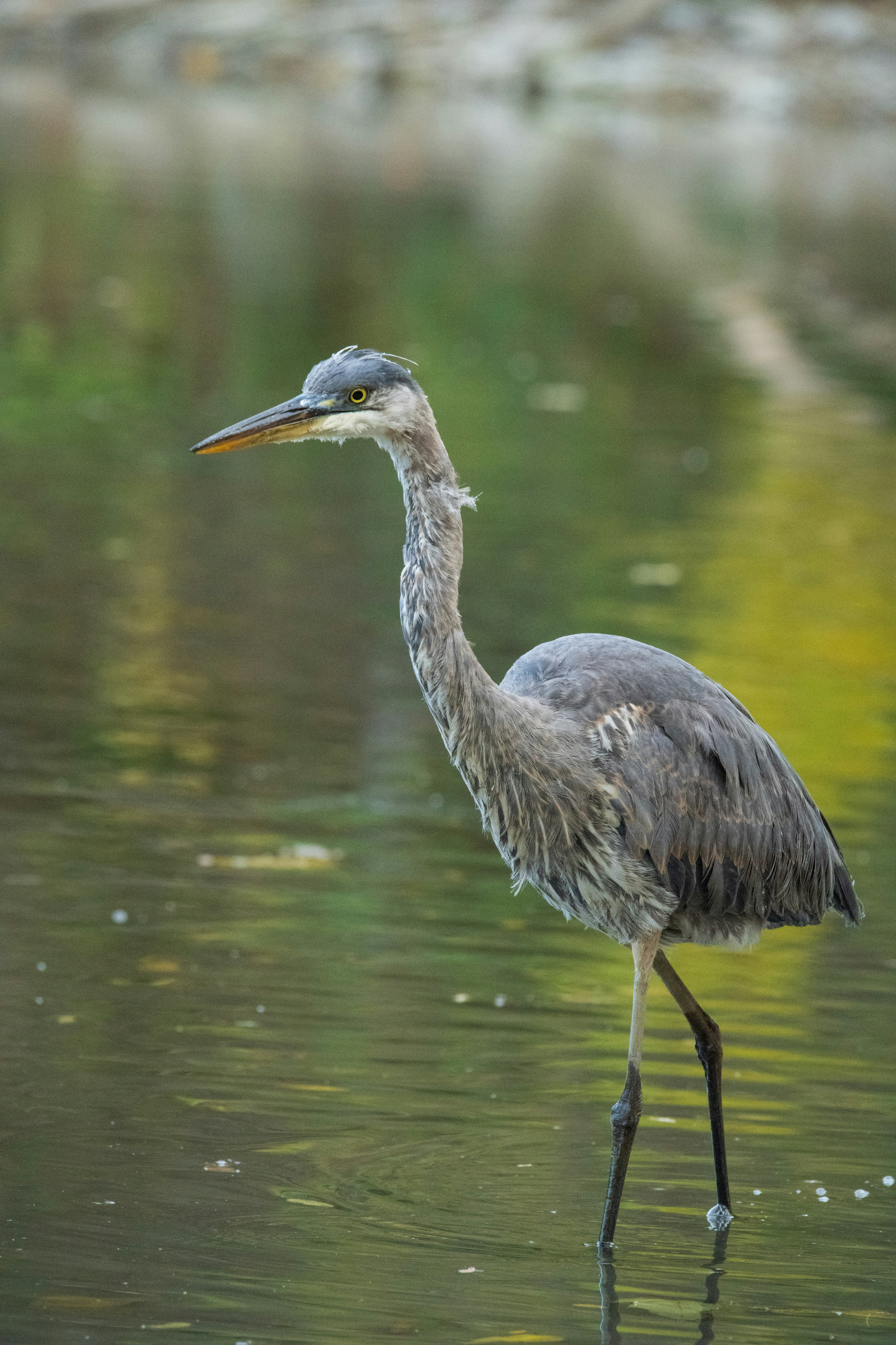 Photo by justynazielinska654