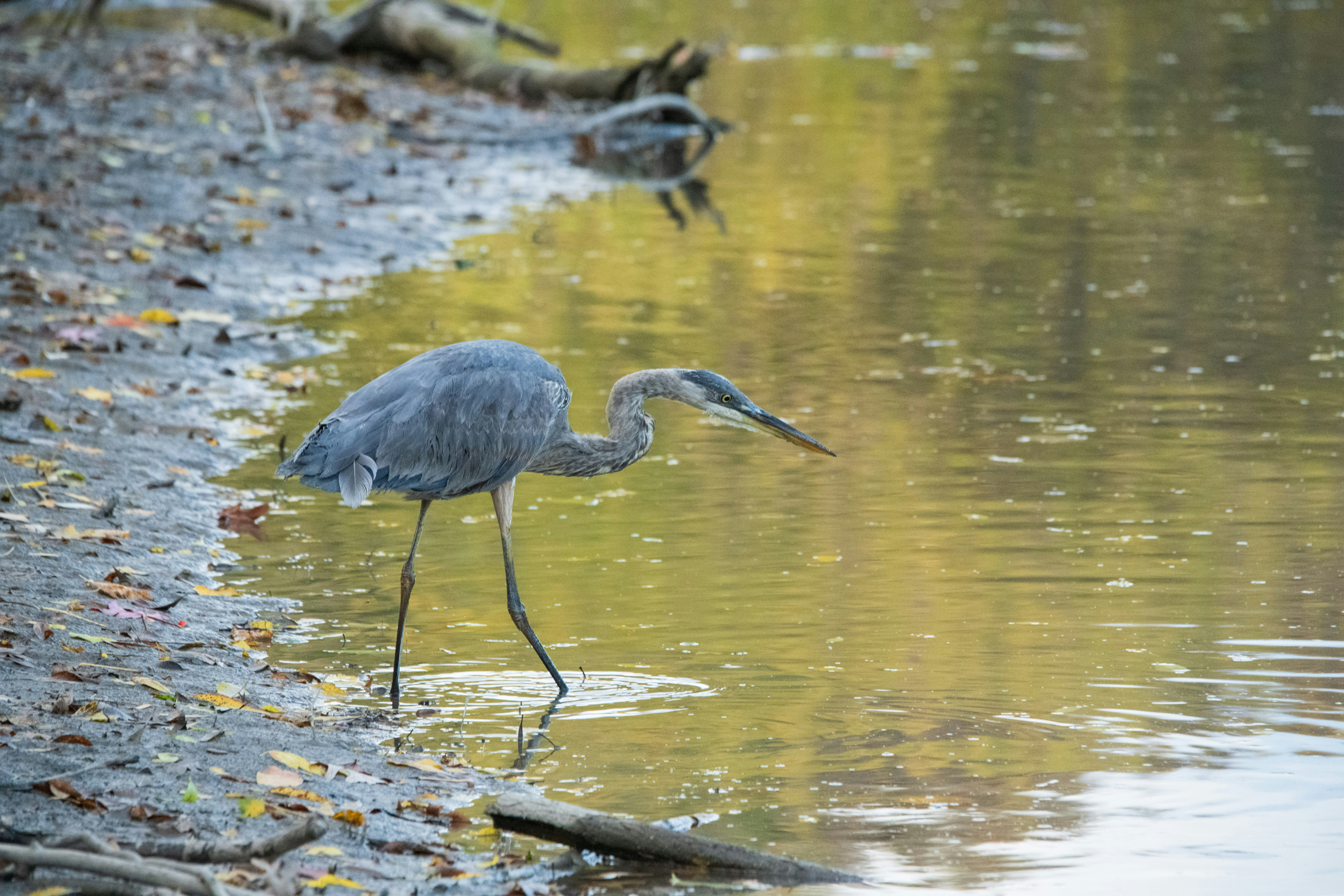 Photo by justynazielinska654