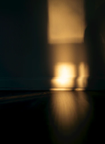 Warm sunlight casts shadows on a dark wooden floor.