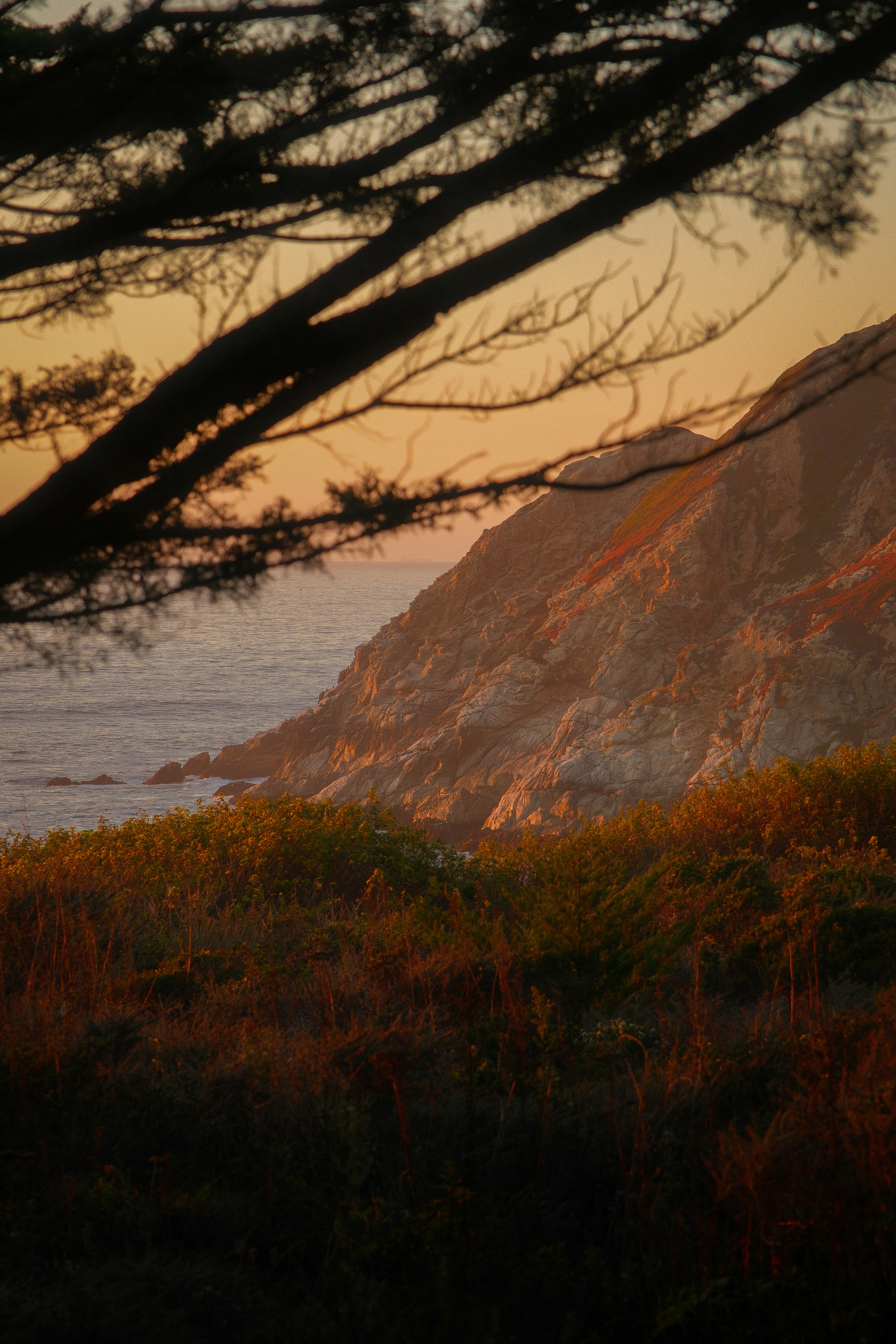 Photo by kalaniparker
