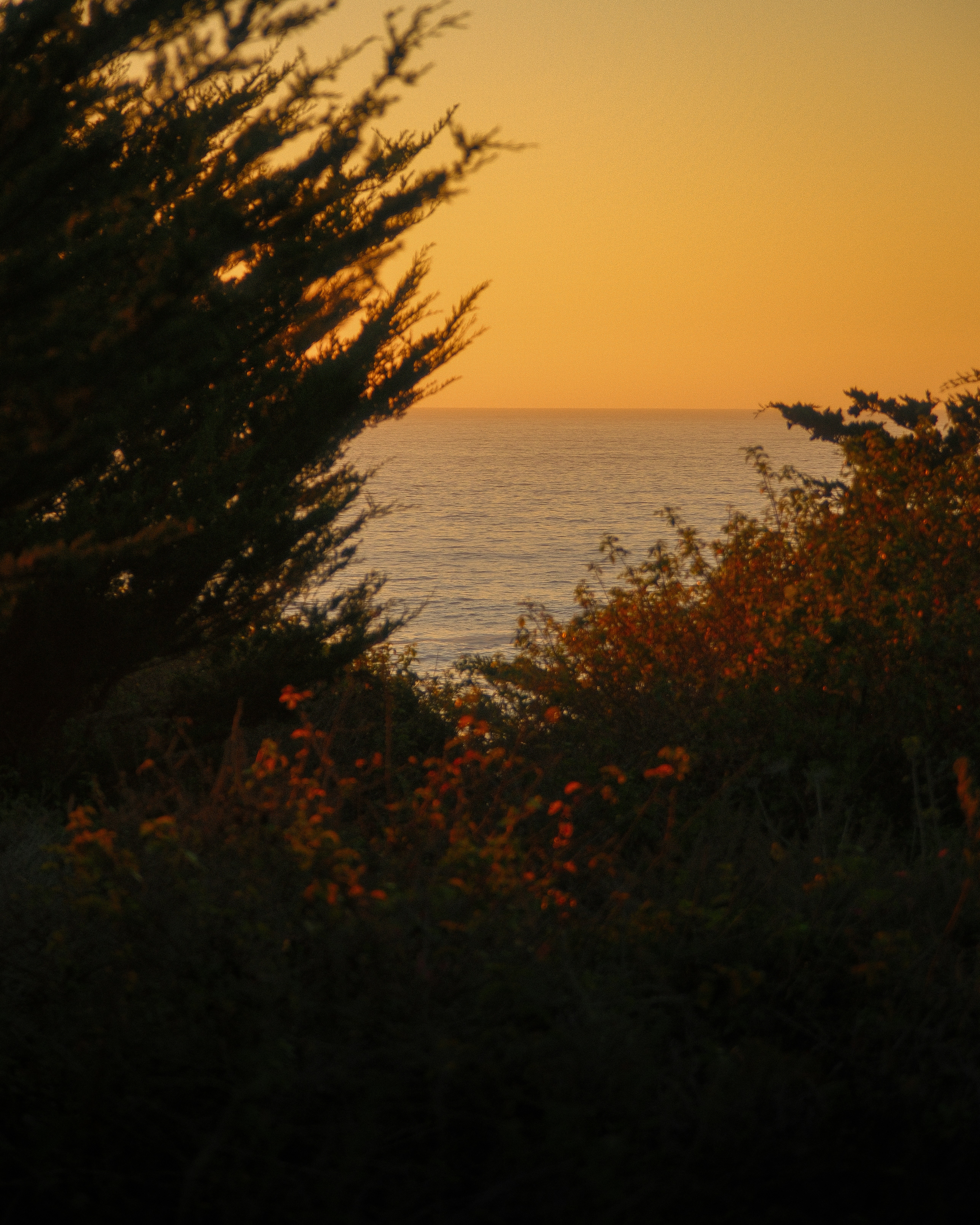 Photo by kalaniparker