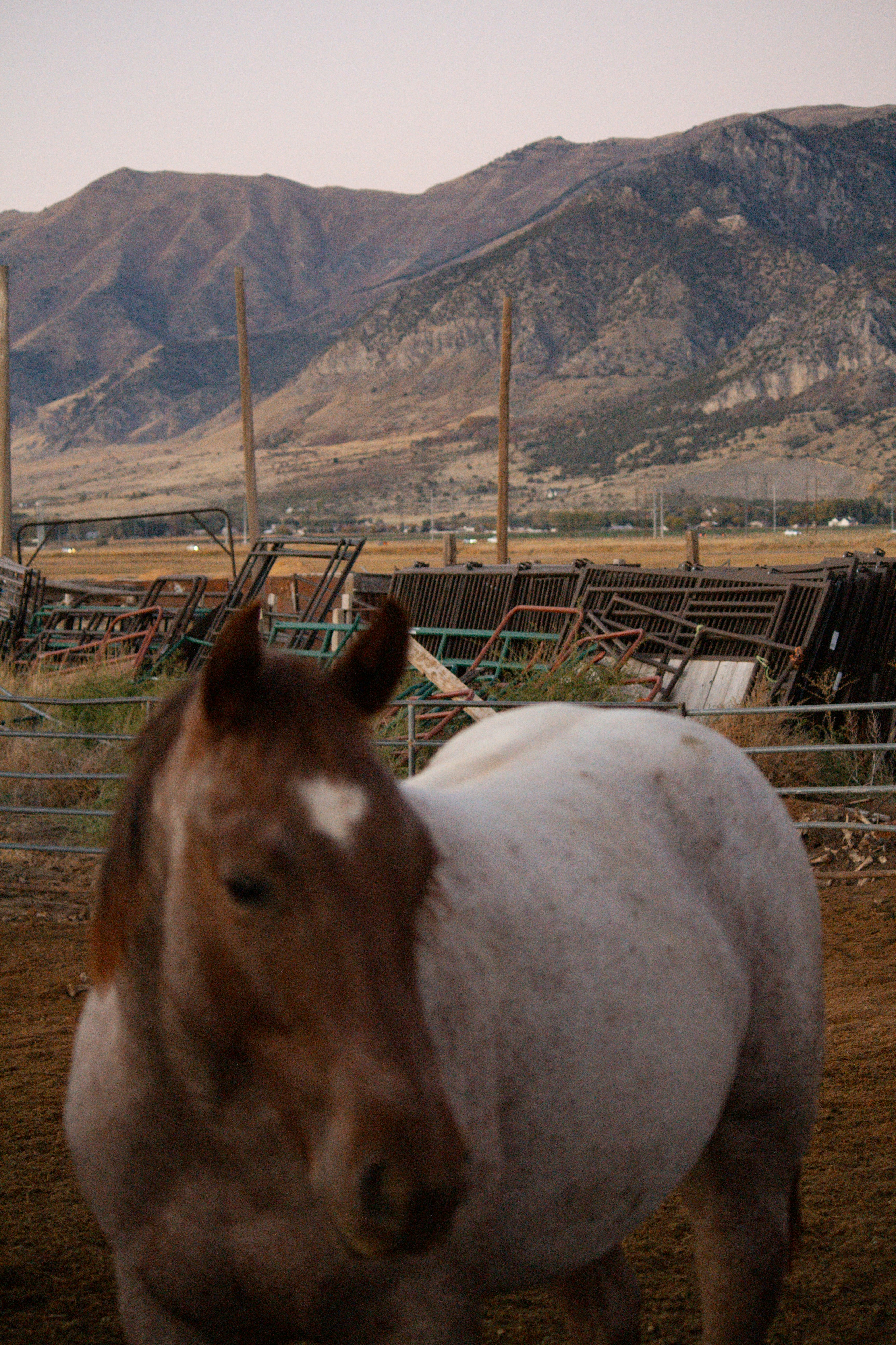 Photo by gracewpotter