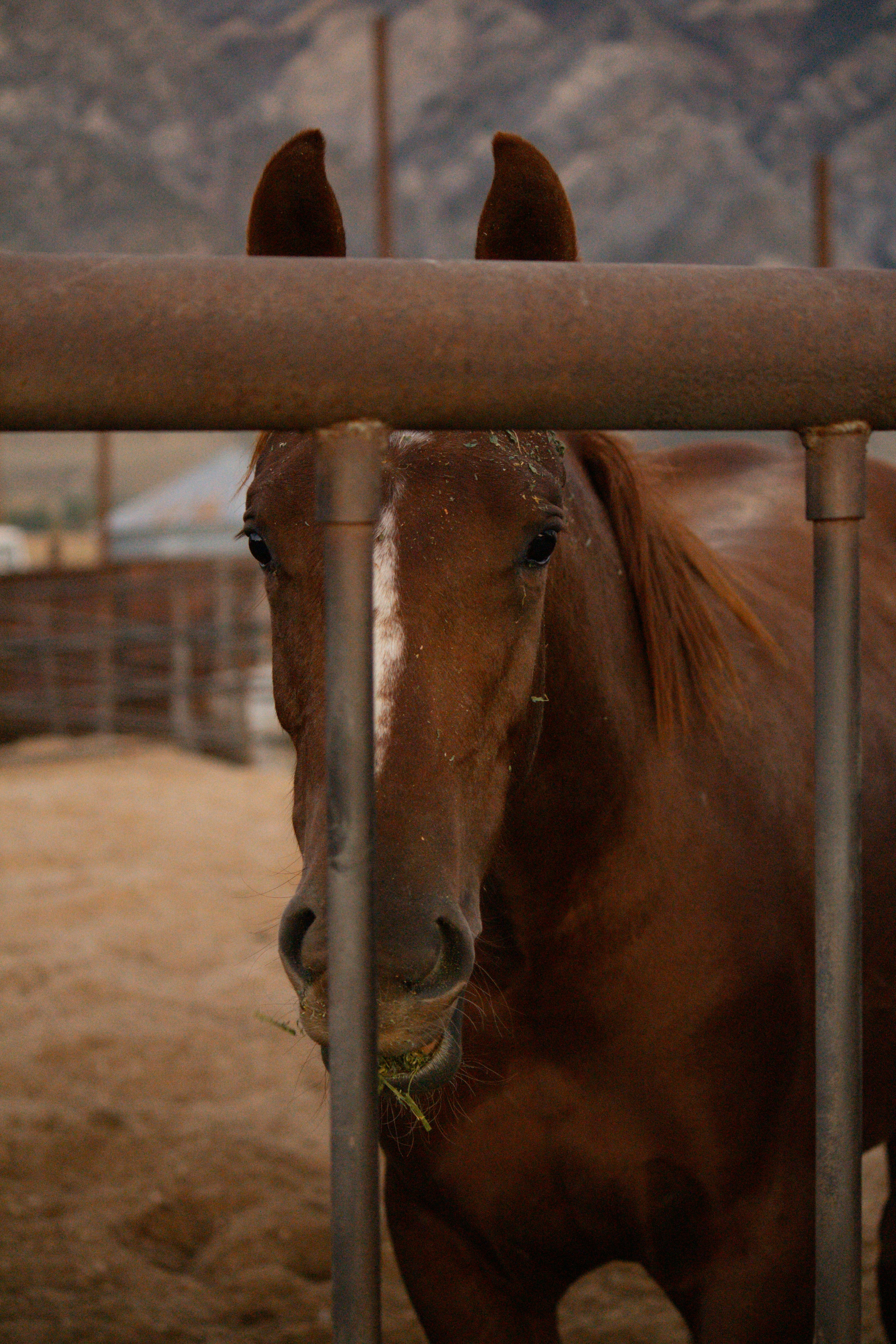 Photo by gracewpotter