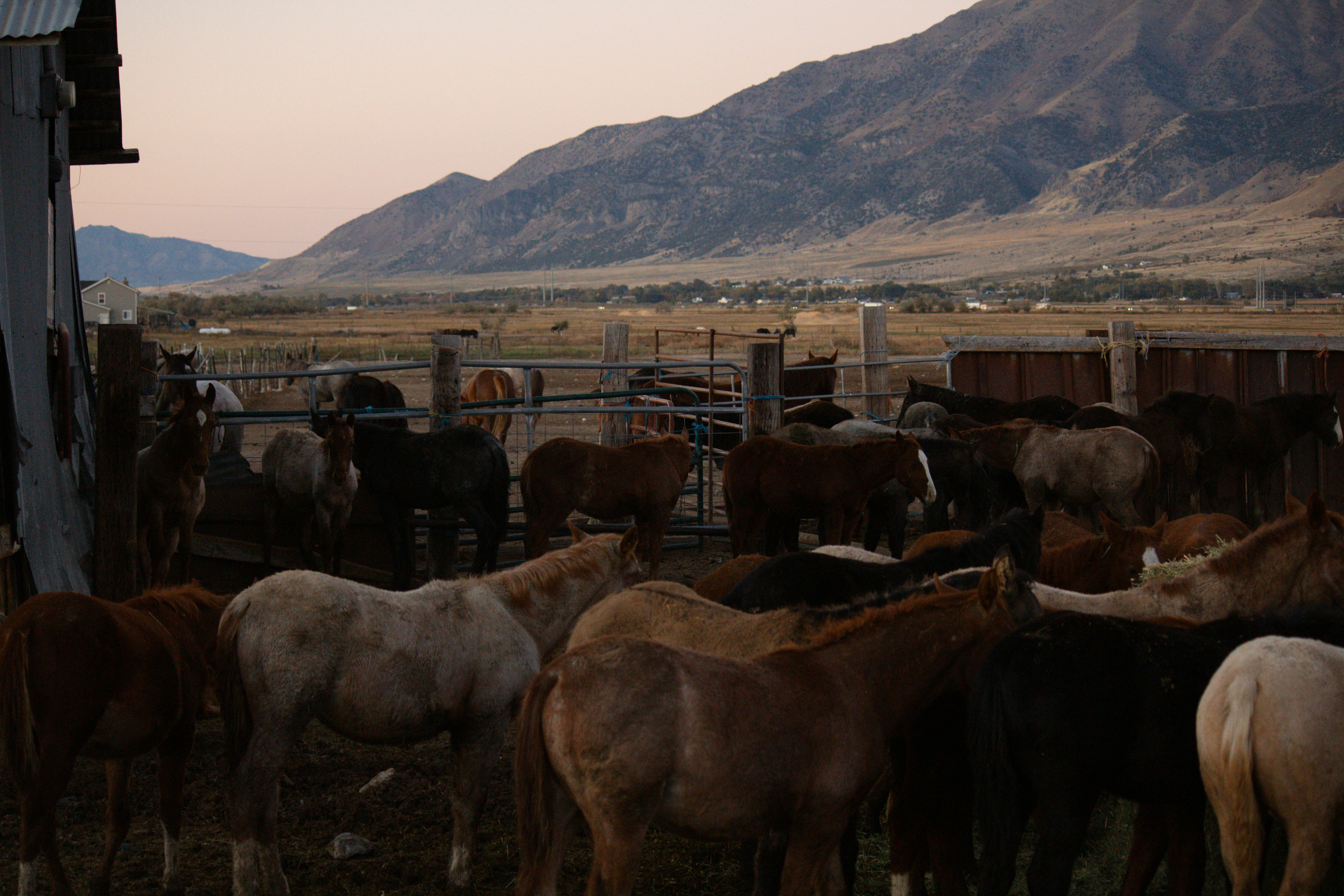 Photo by gracewpotter