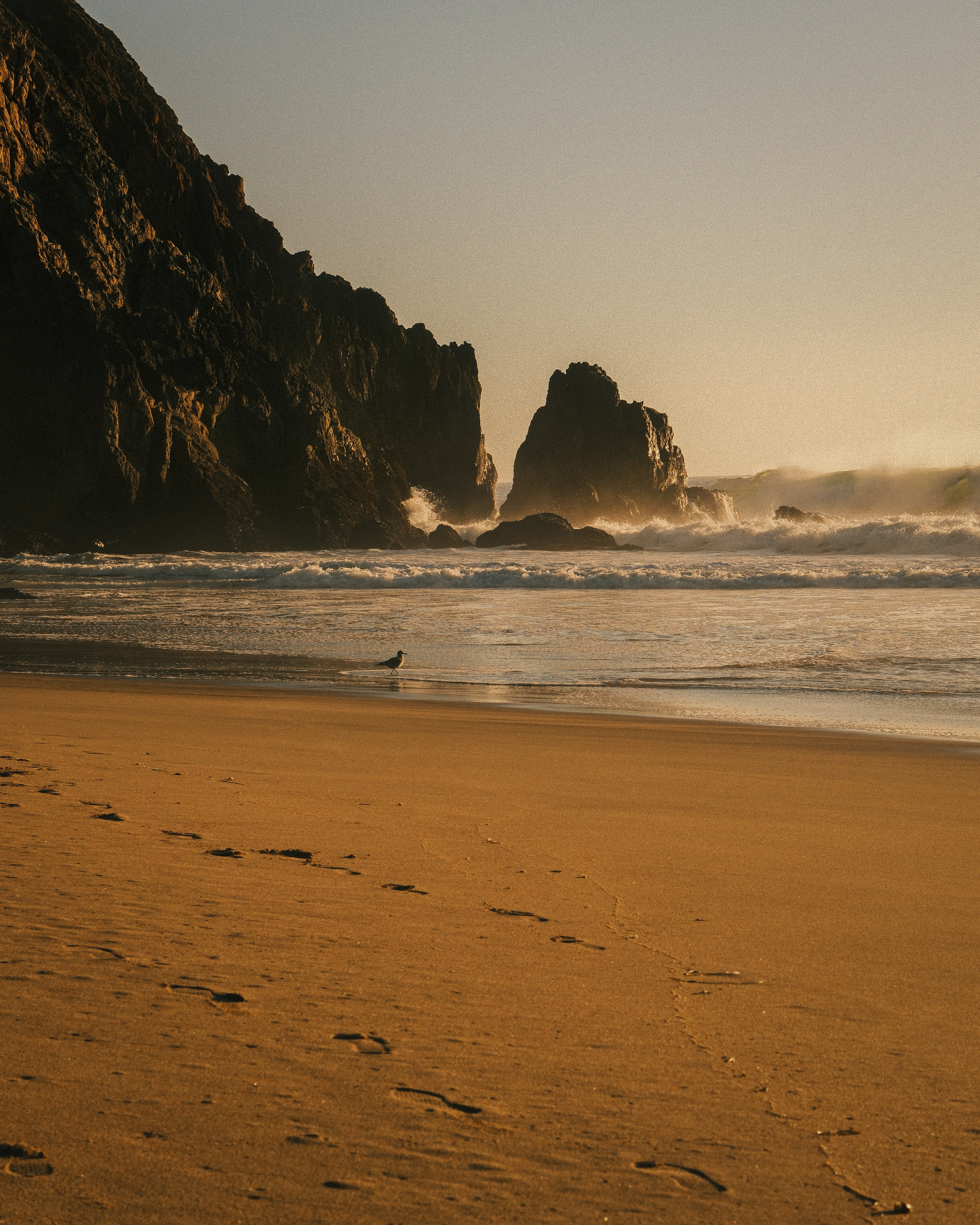 Photo by kalaniparker