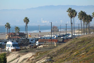 Palm trees line a beach with rvs and ocean waves.