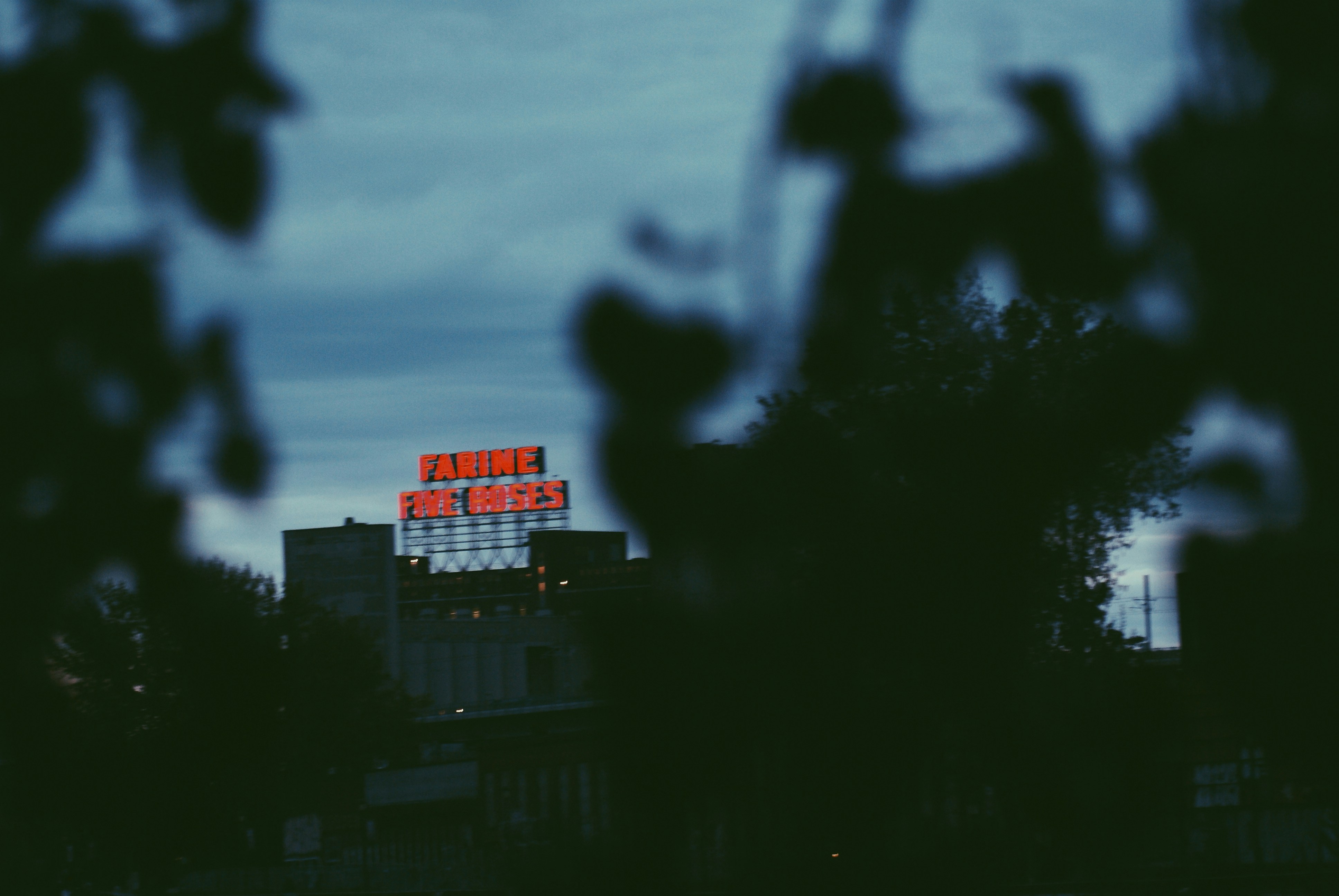 Montreal - Things to Do in Montreal