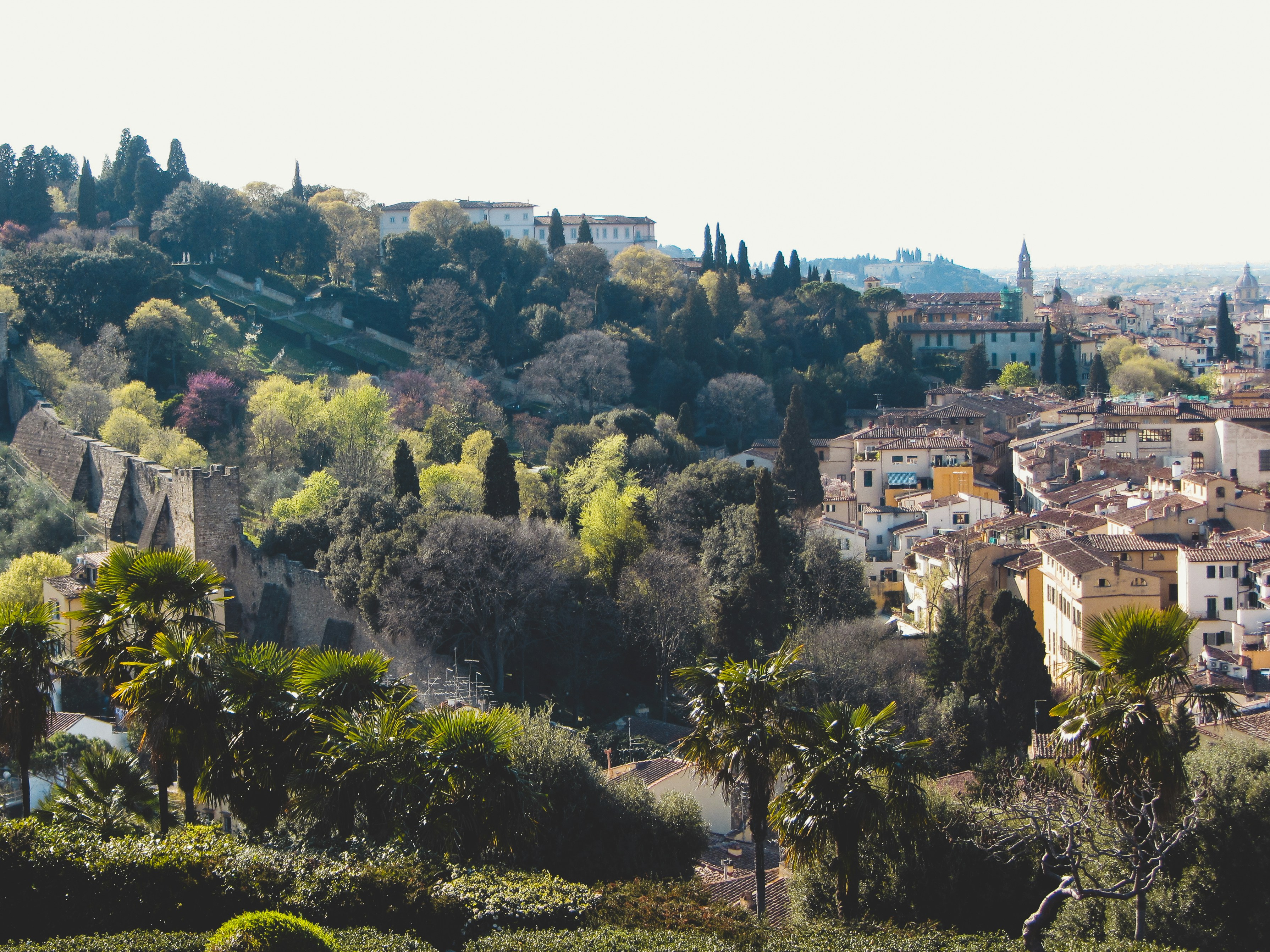 Photo by clovegrove7