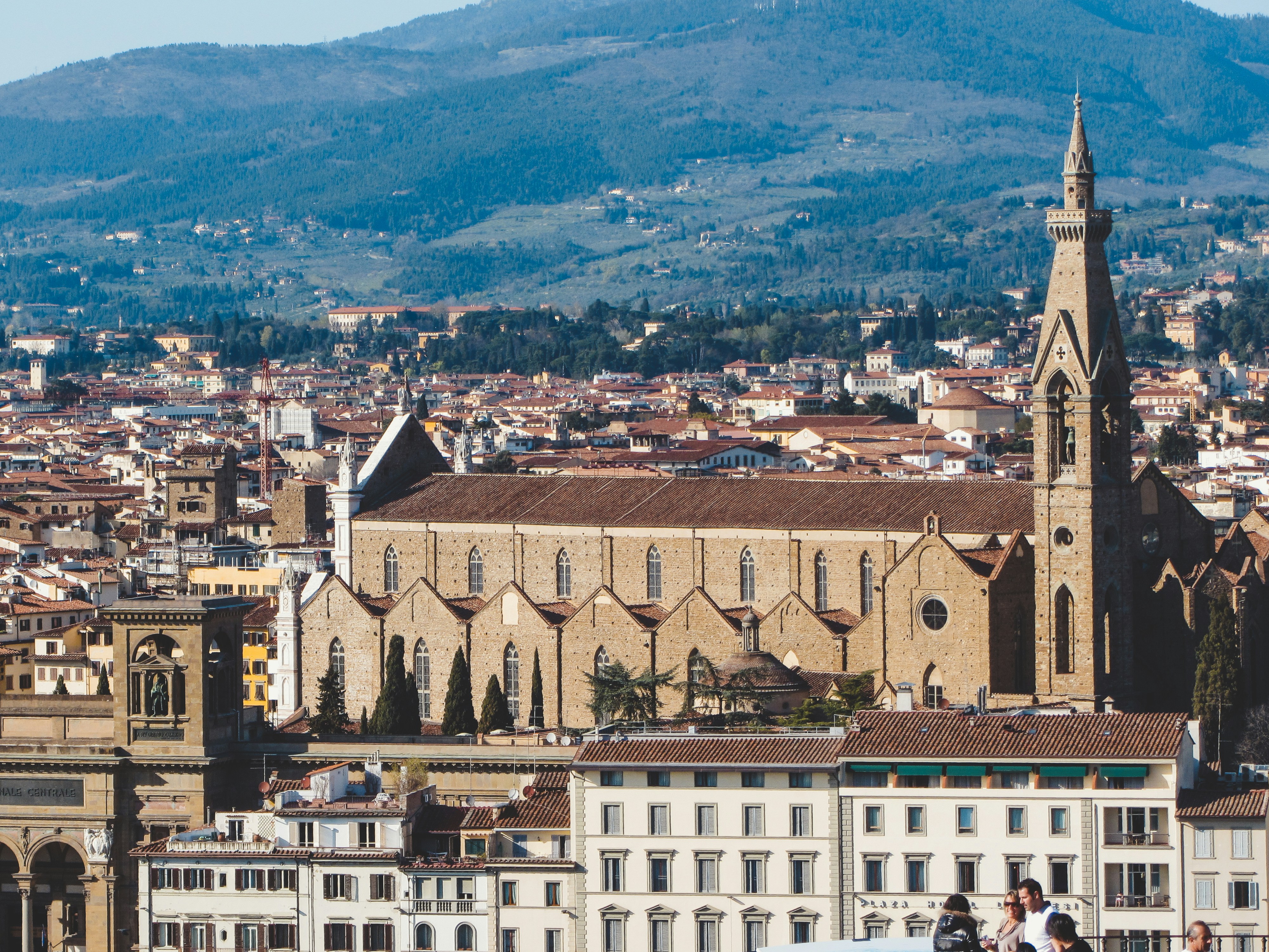 Photo by clovegrove7