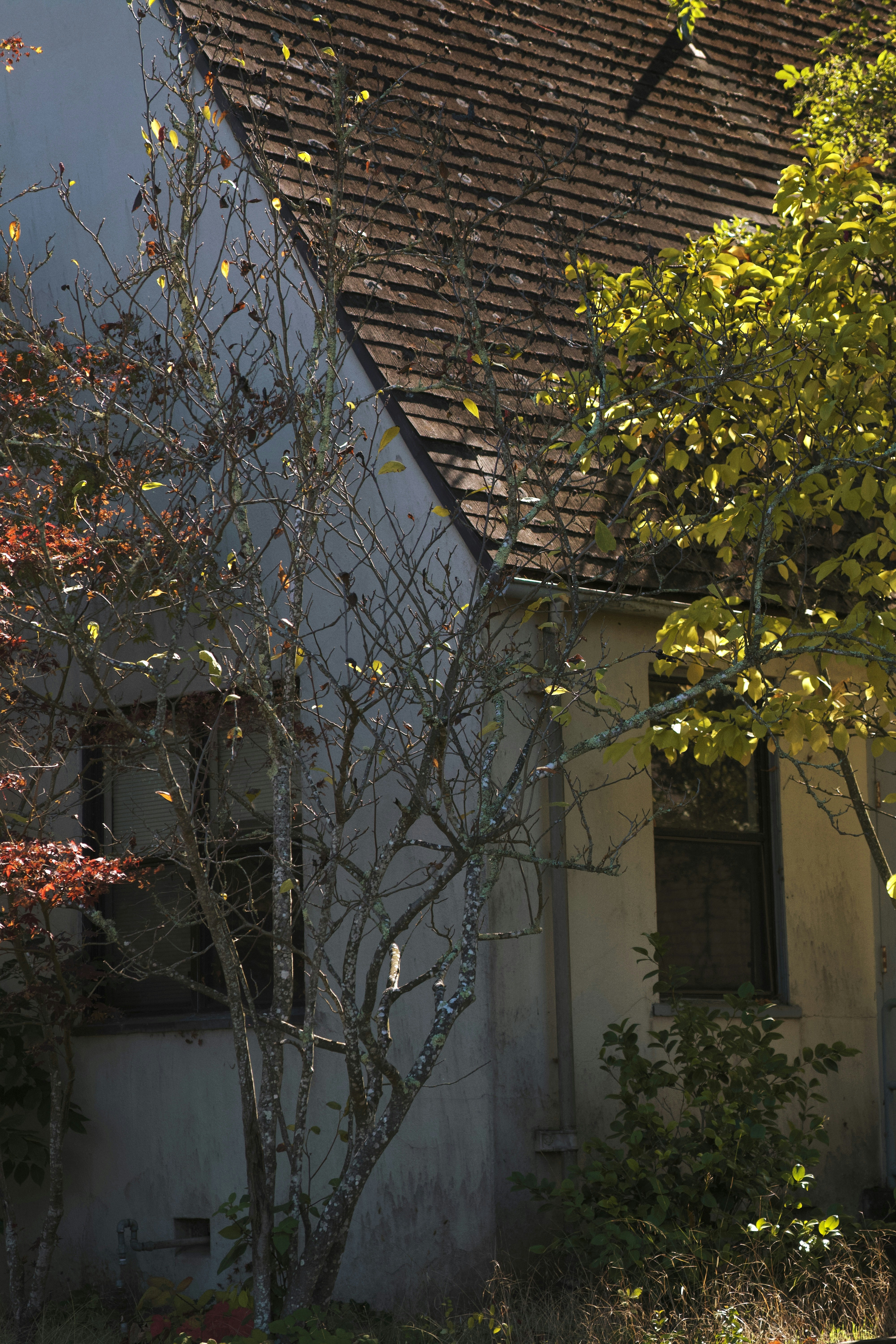 Photo by spencer_demera