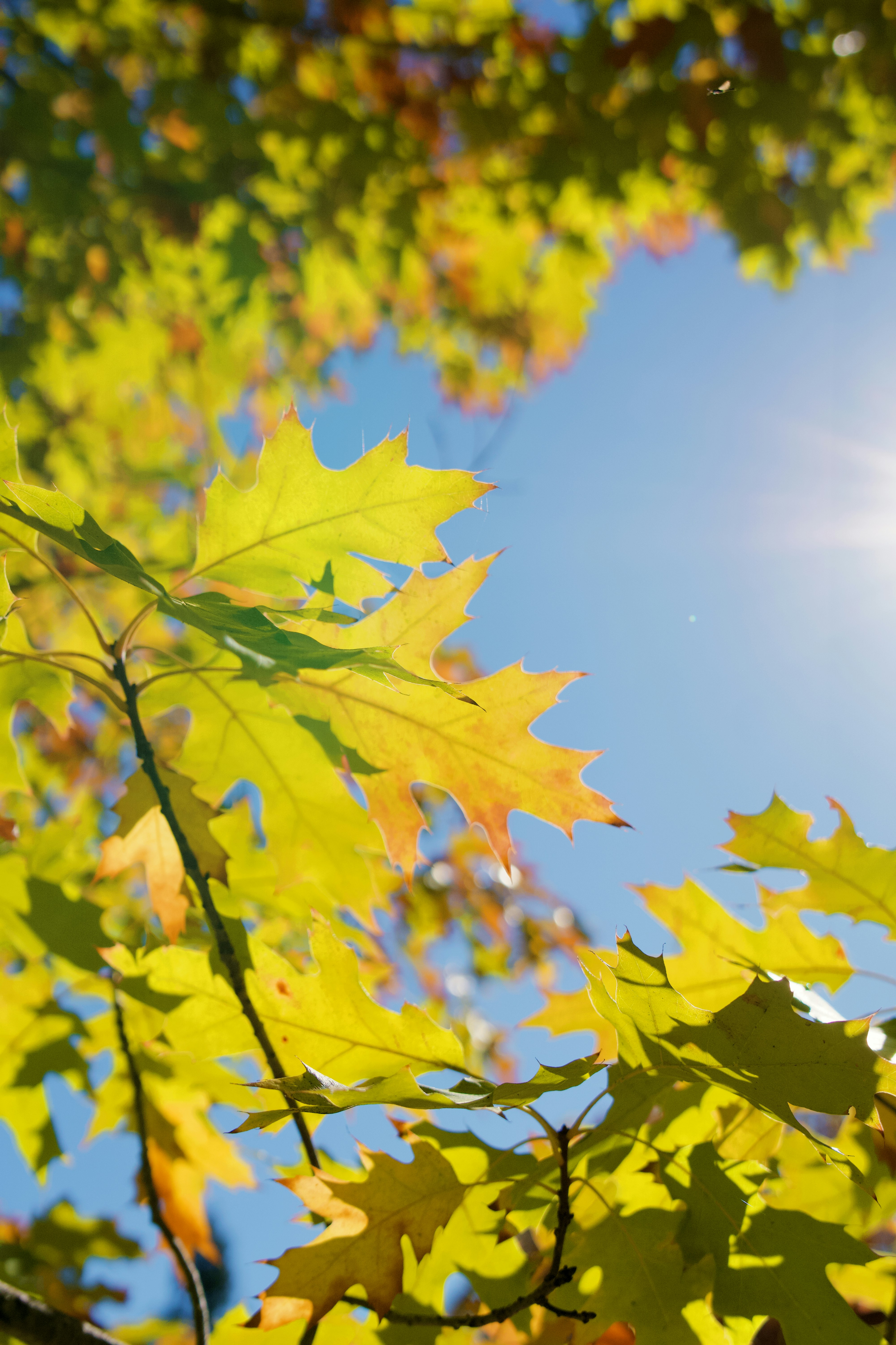 Photo by spencer_demera