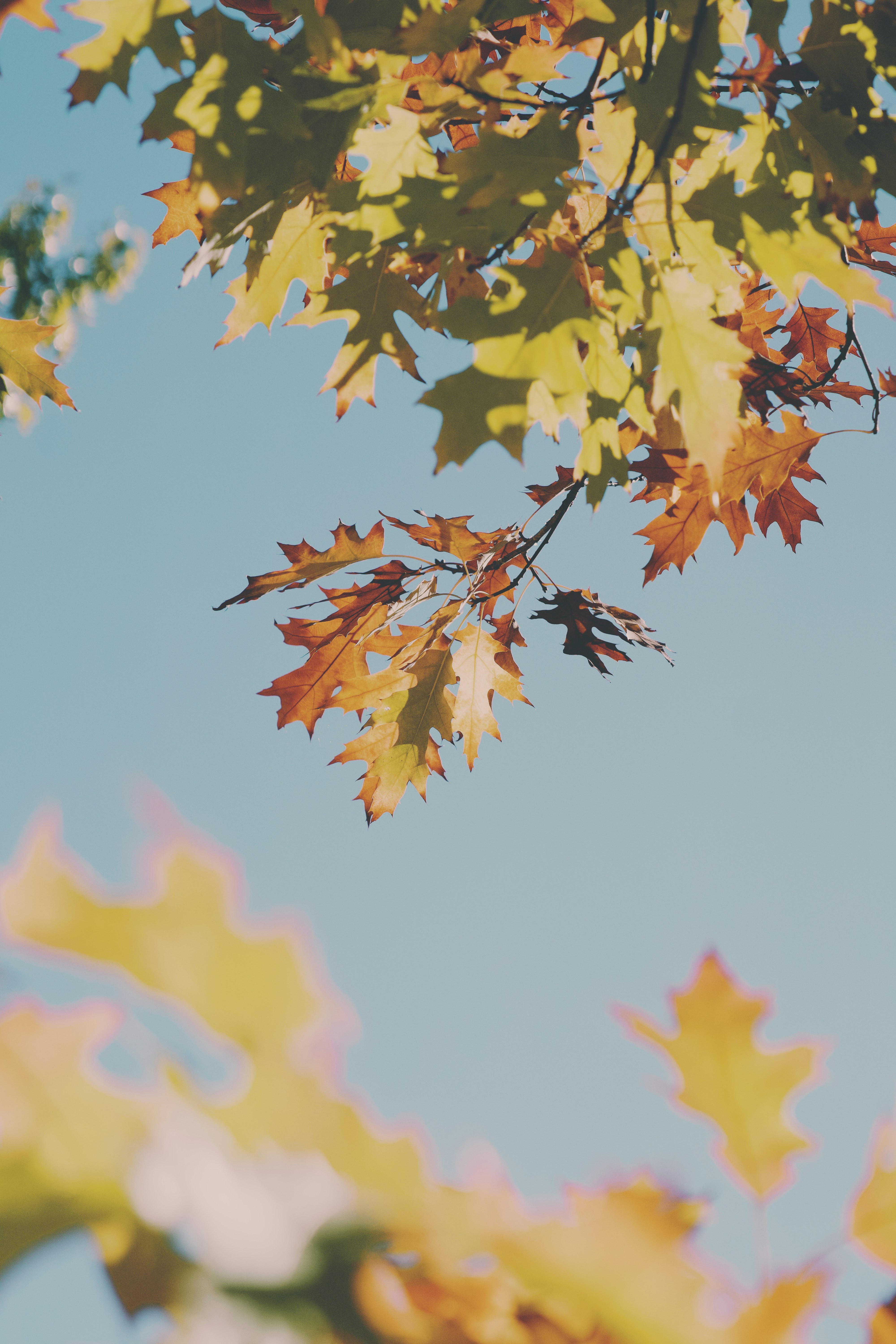 Photo by spencer_demera