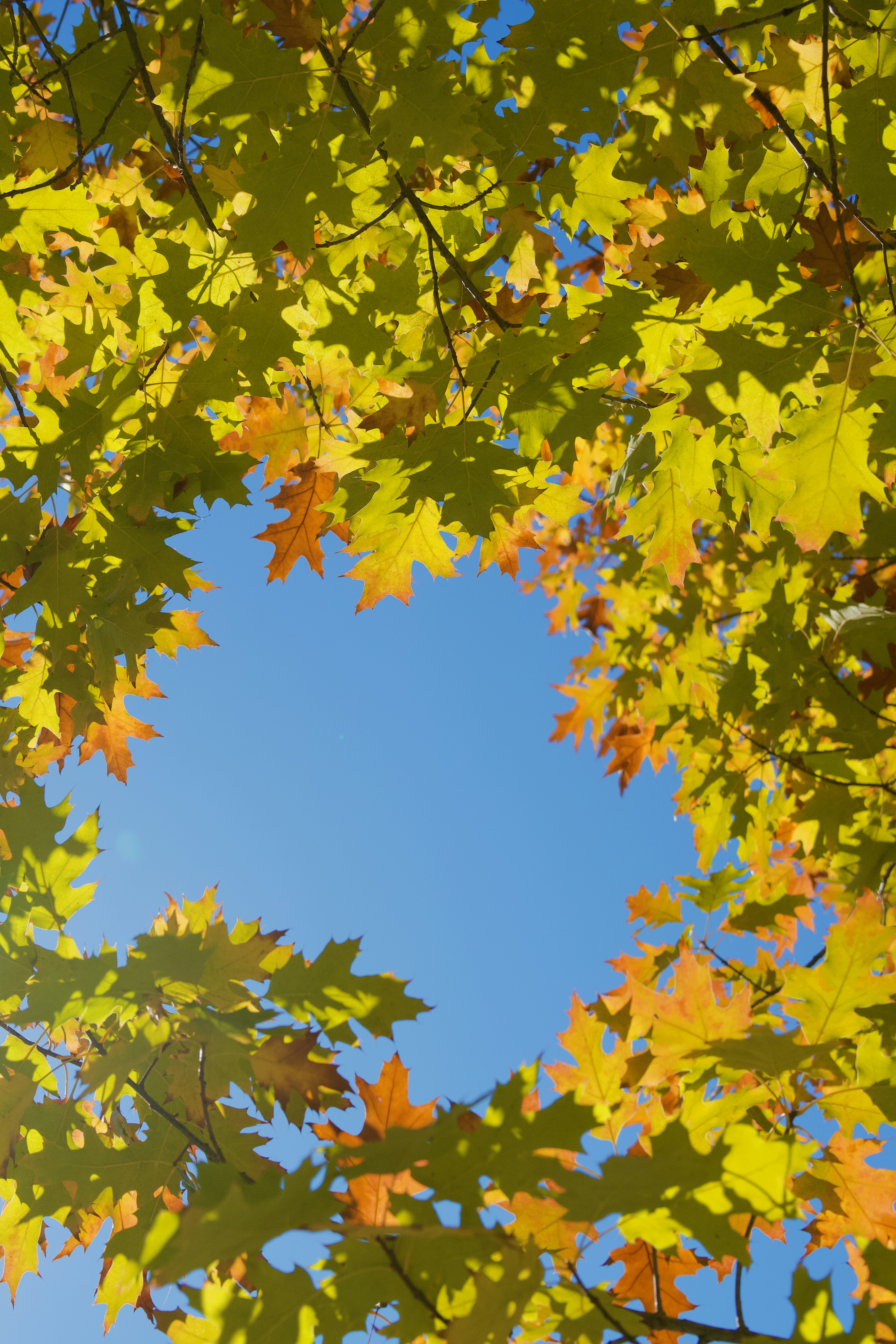 Photo by spencer_demera