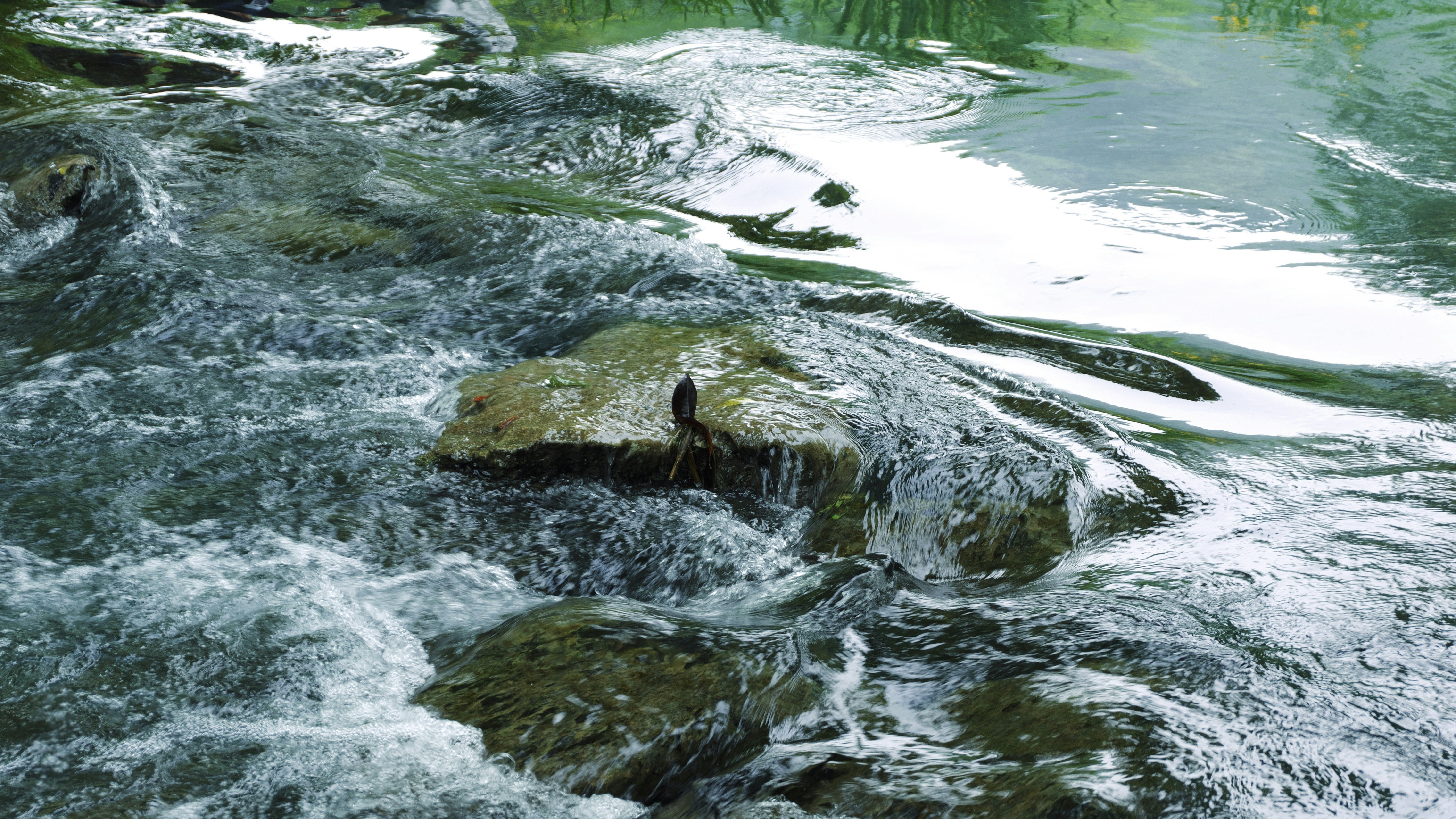 Fast-flowing river over rocks and white foam