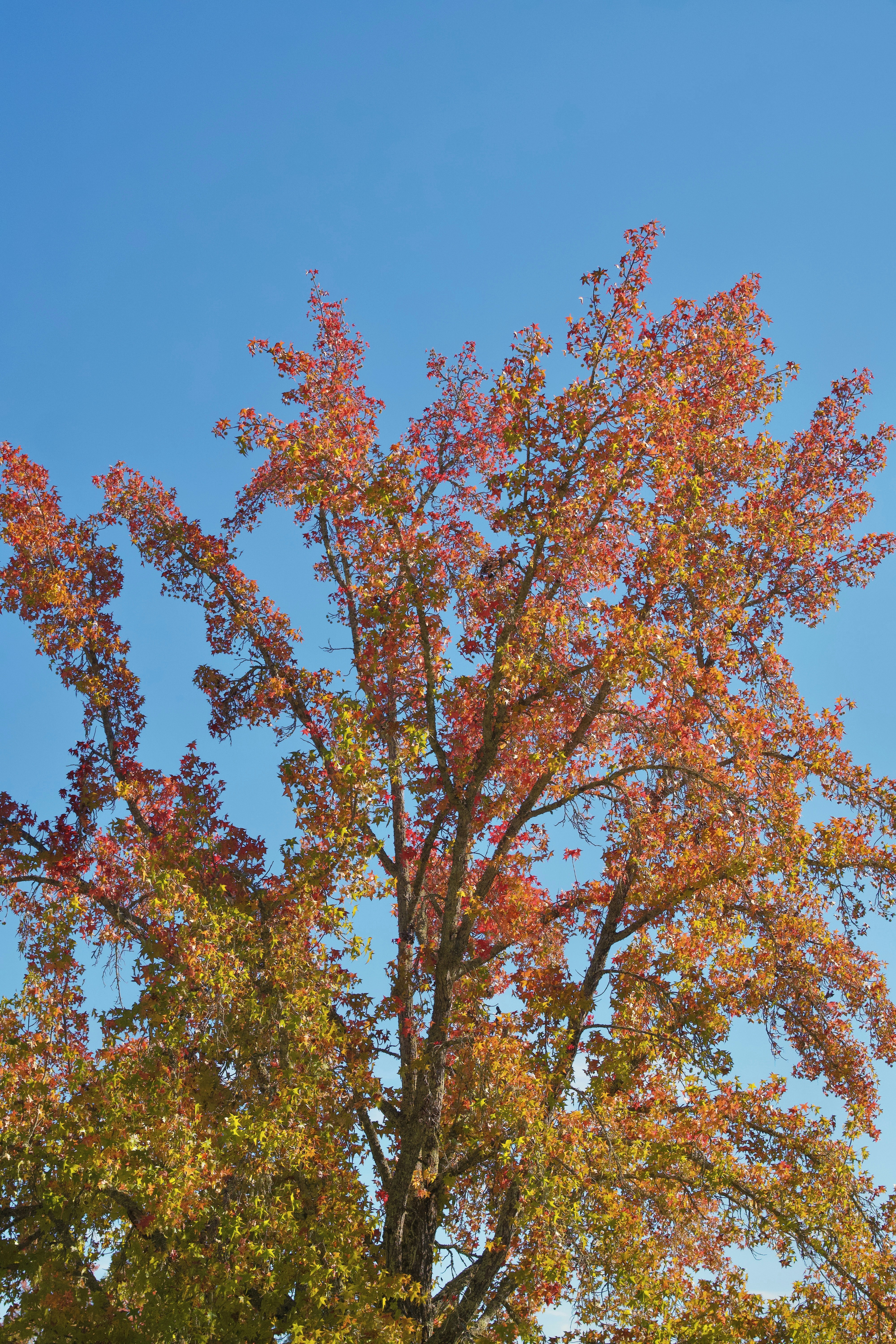 Photo by spencer_demera