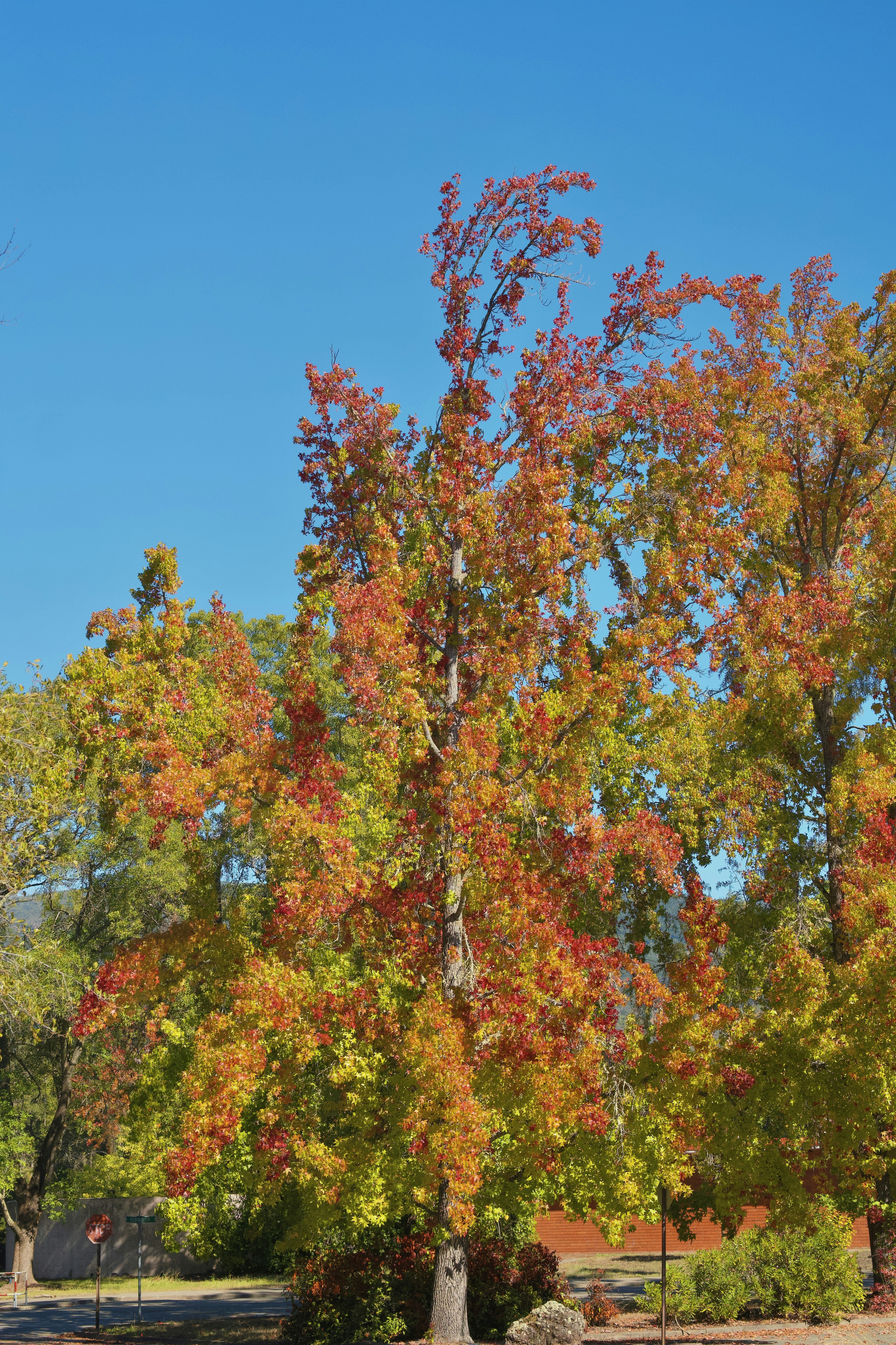 Photo by spencer_demera