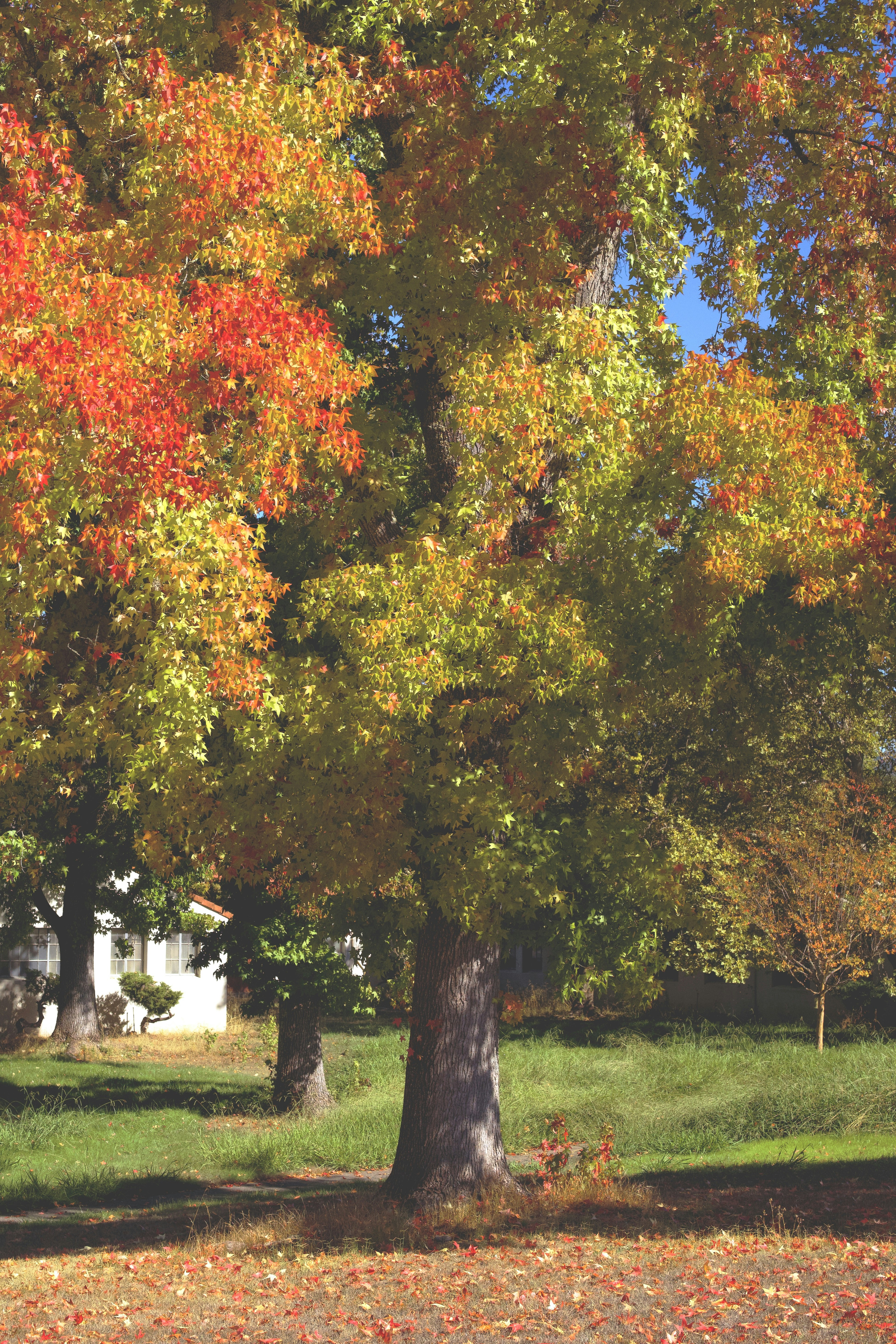 Photo by spencer_demera