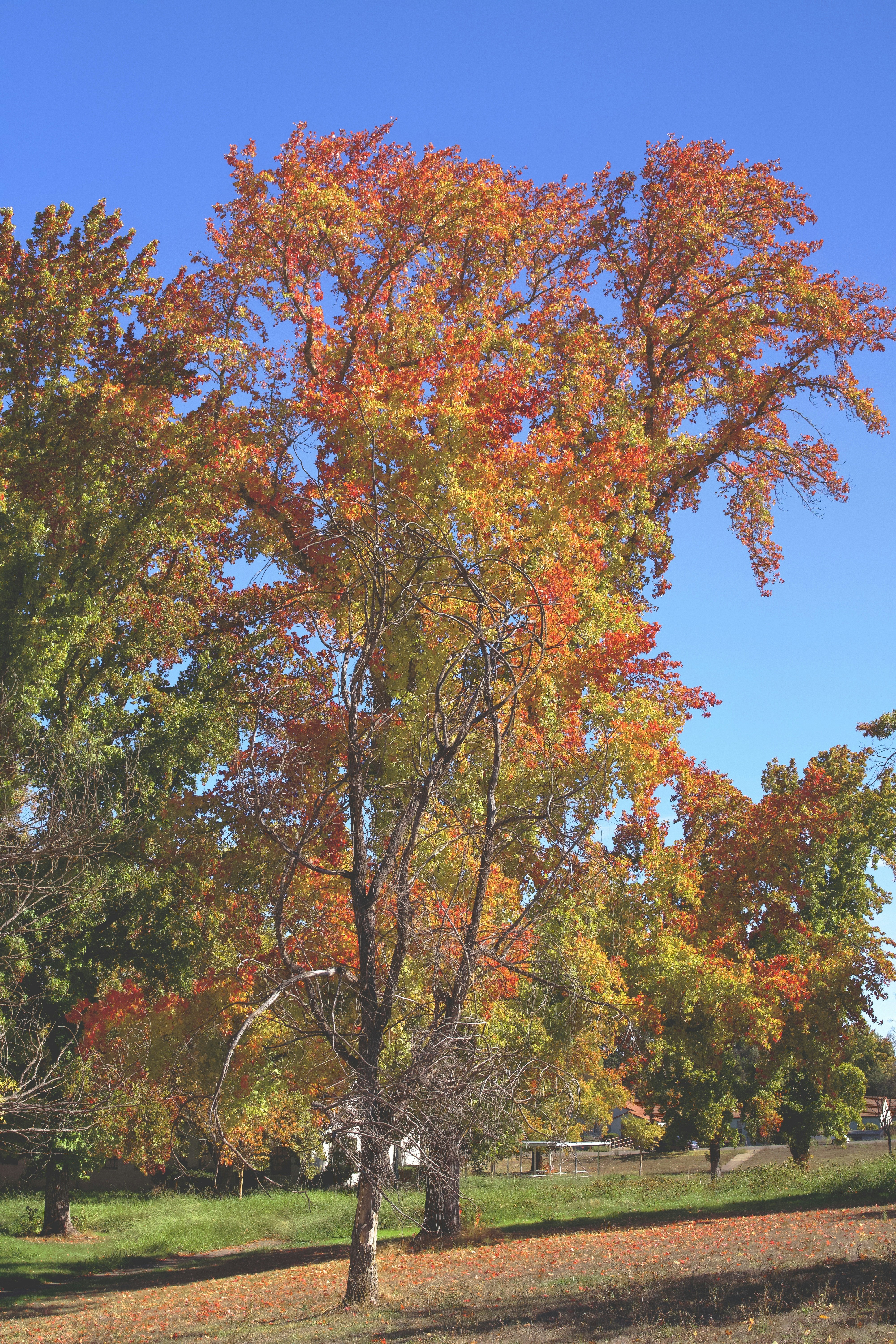 Photo by spencer_demera