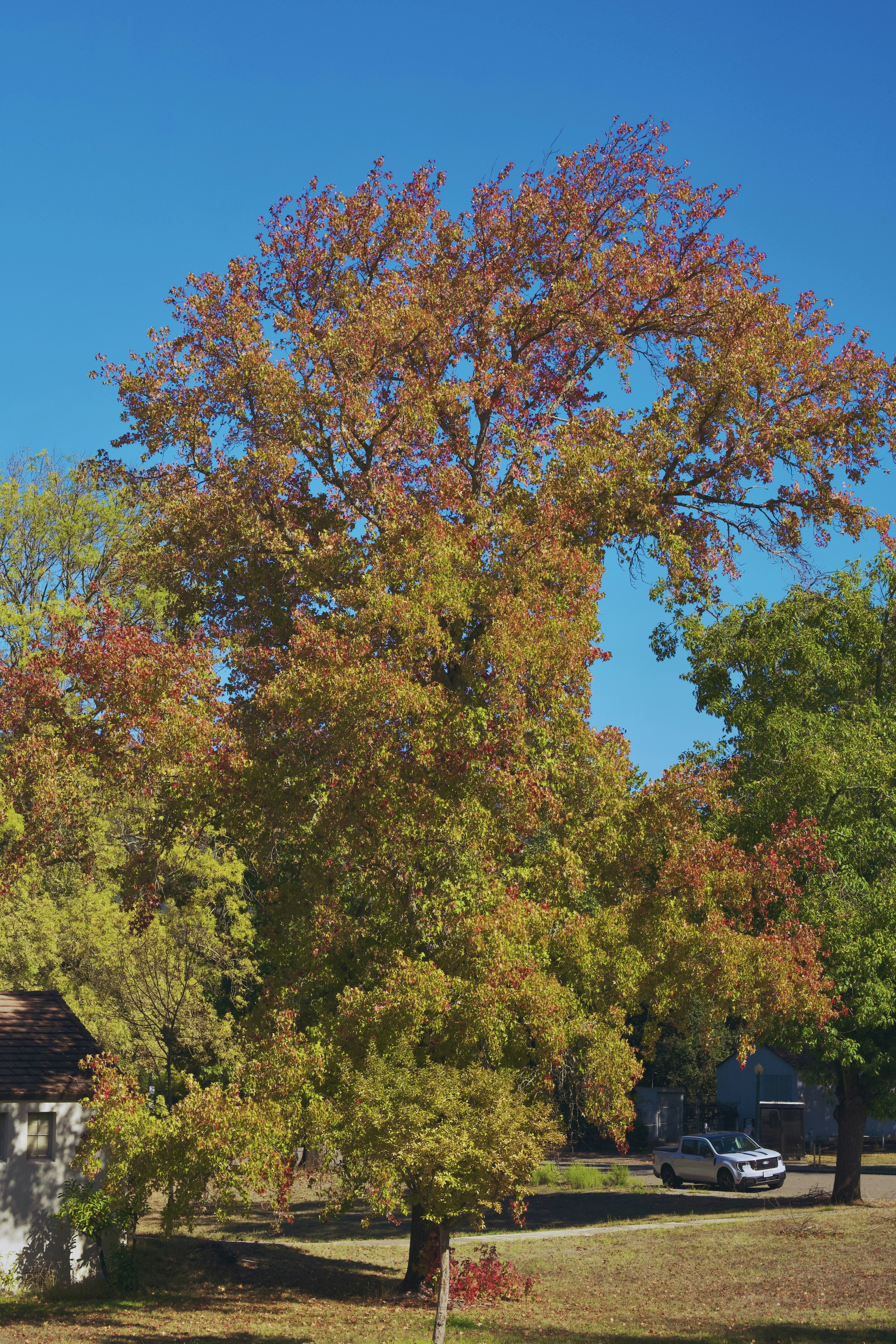 Photo by spencer_demera