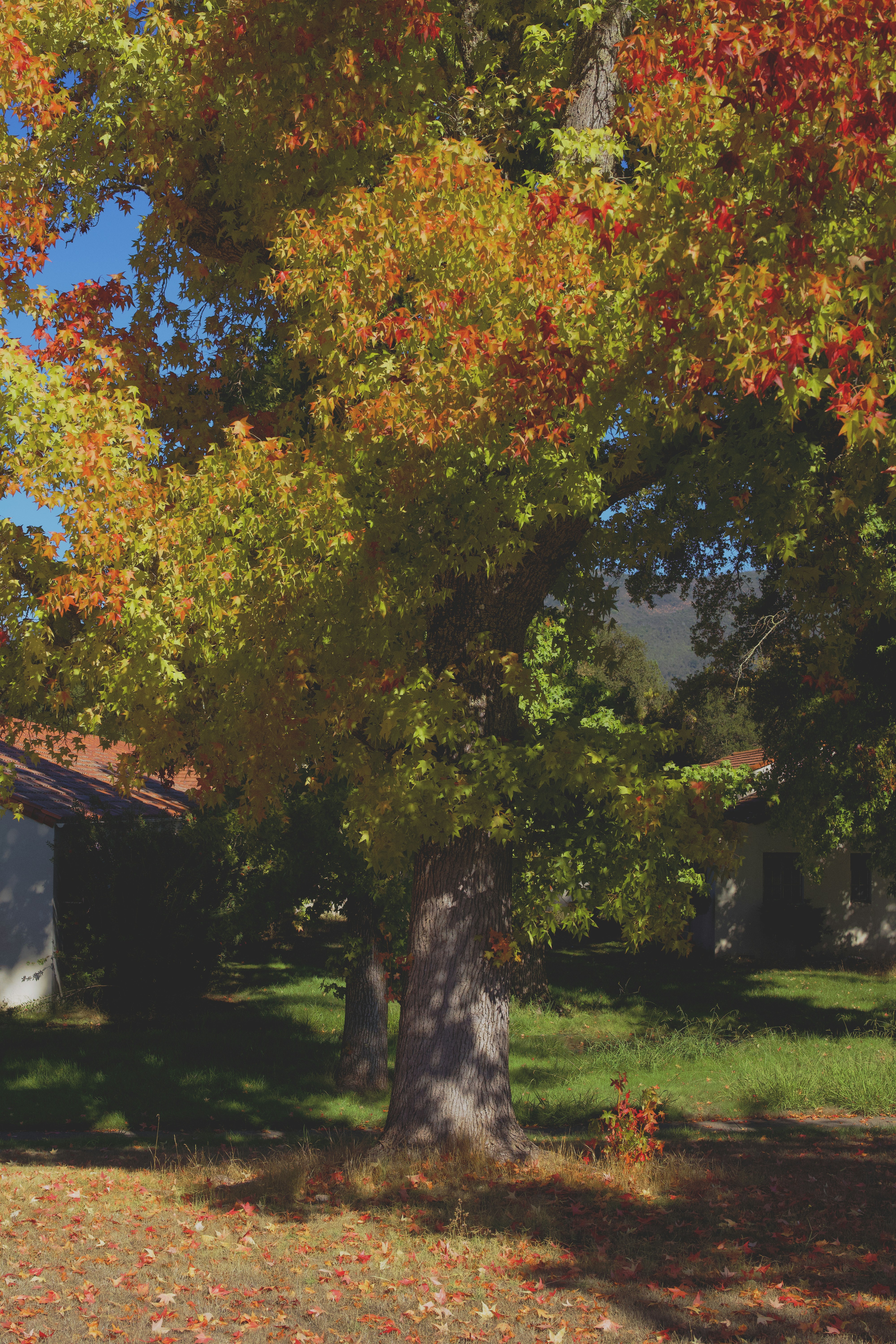 Photo by spencer_demera